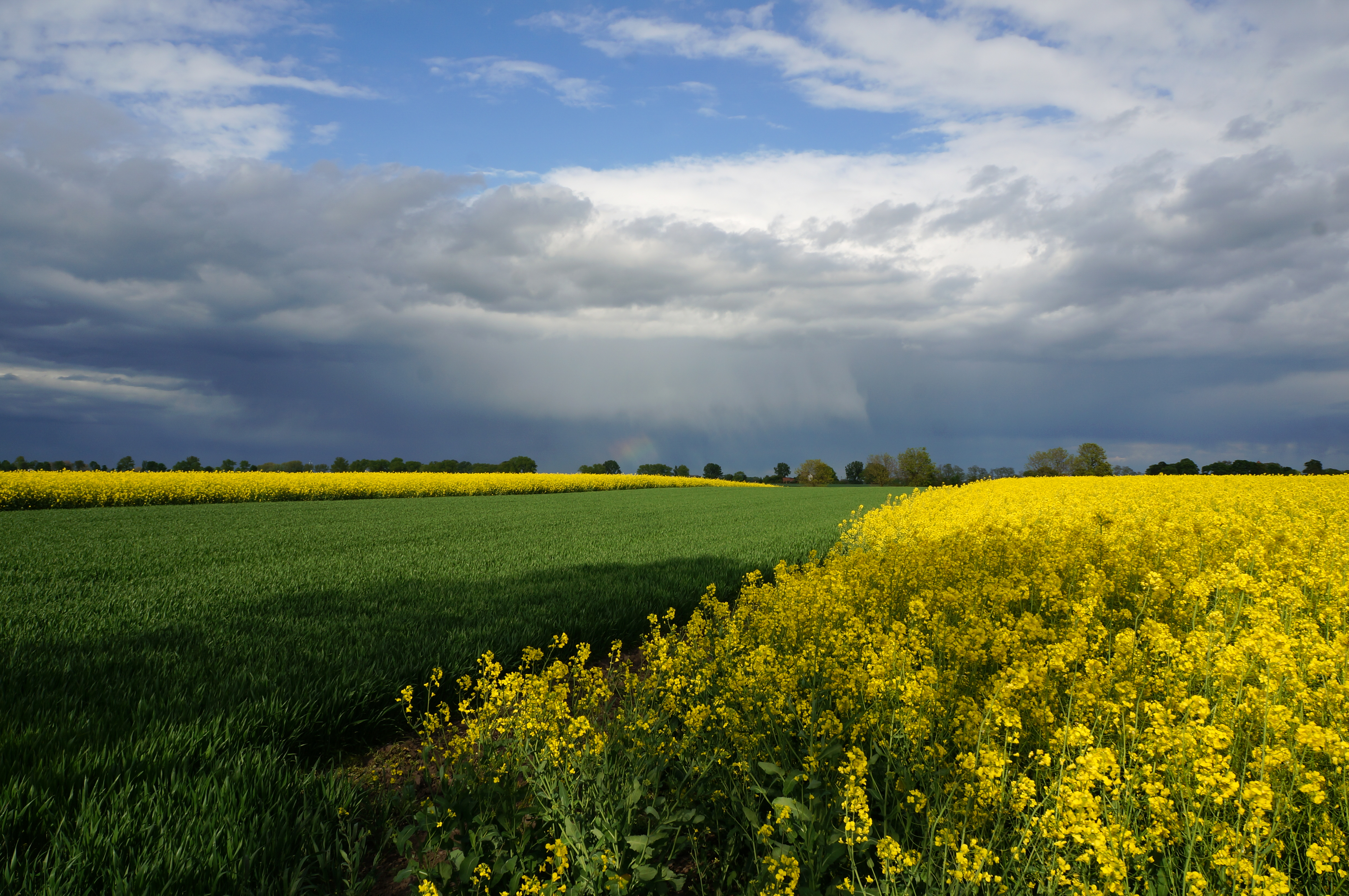 Бесплатное фото Поля под грозовым небом