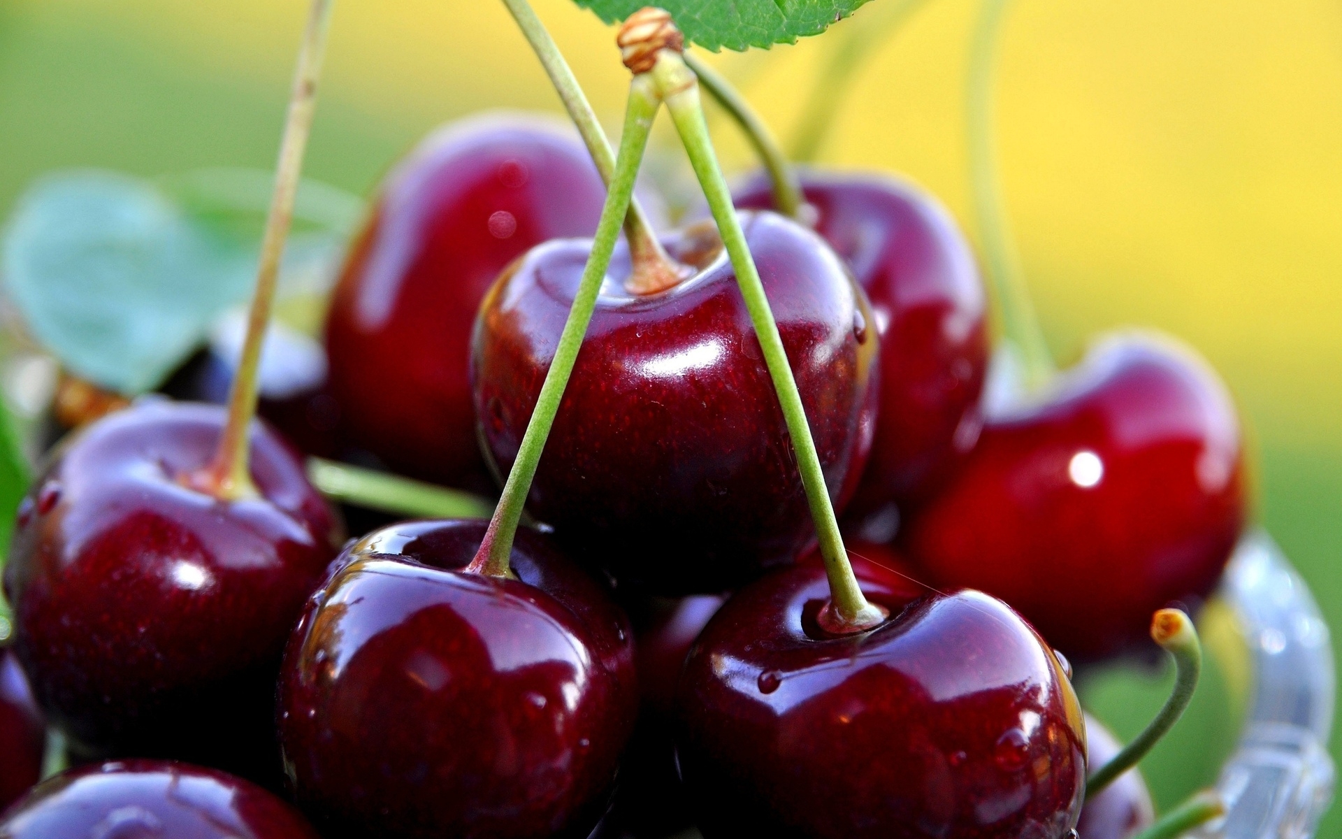 Free photo Red cherries