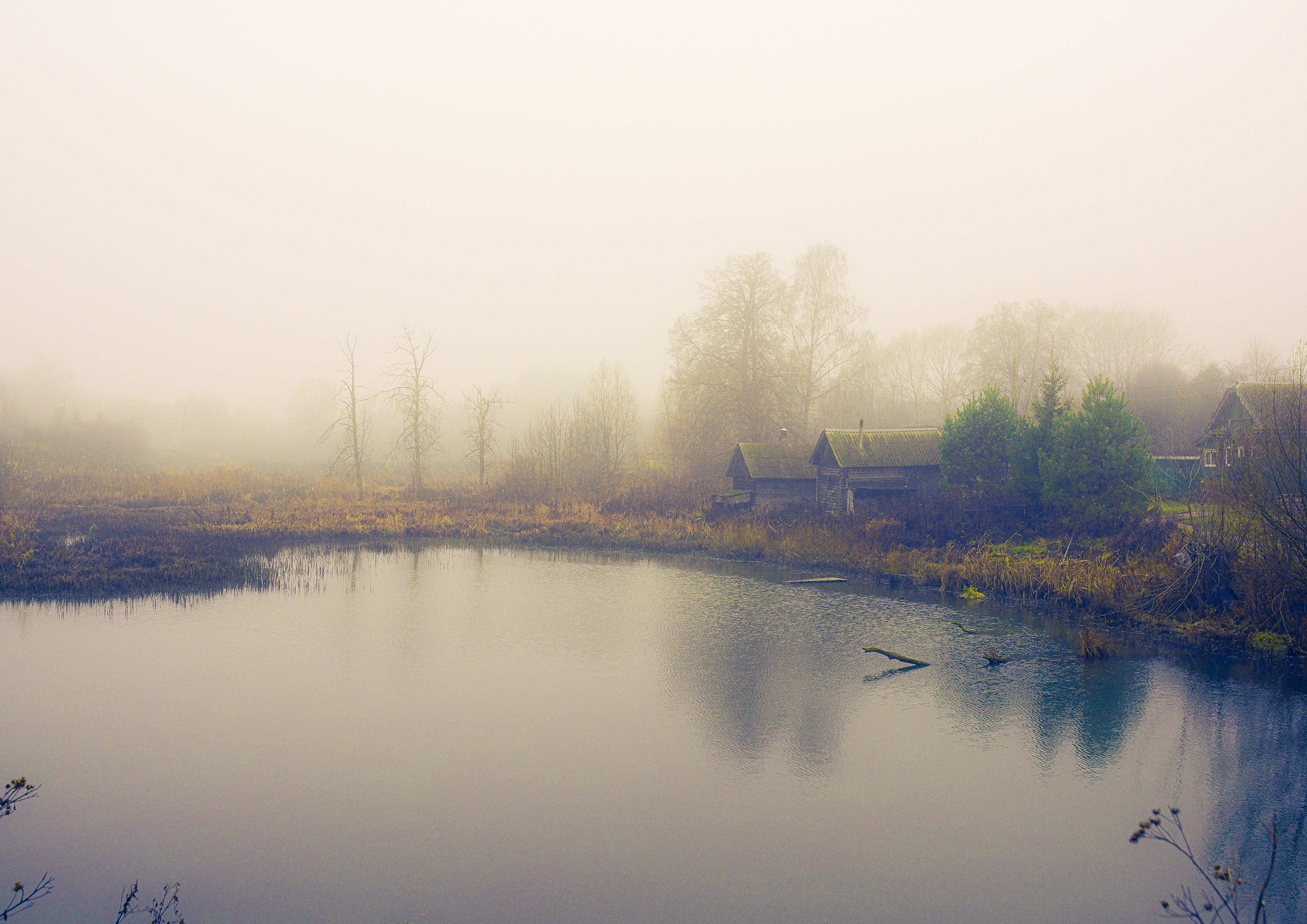 Туман над озером