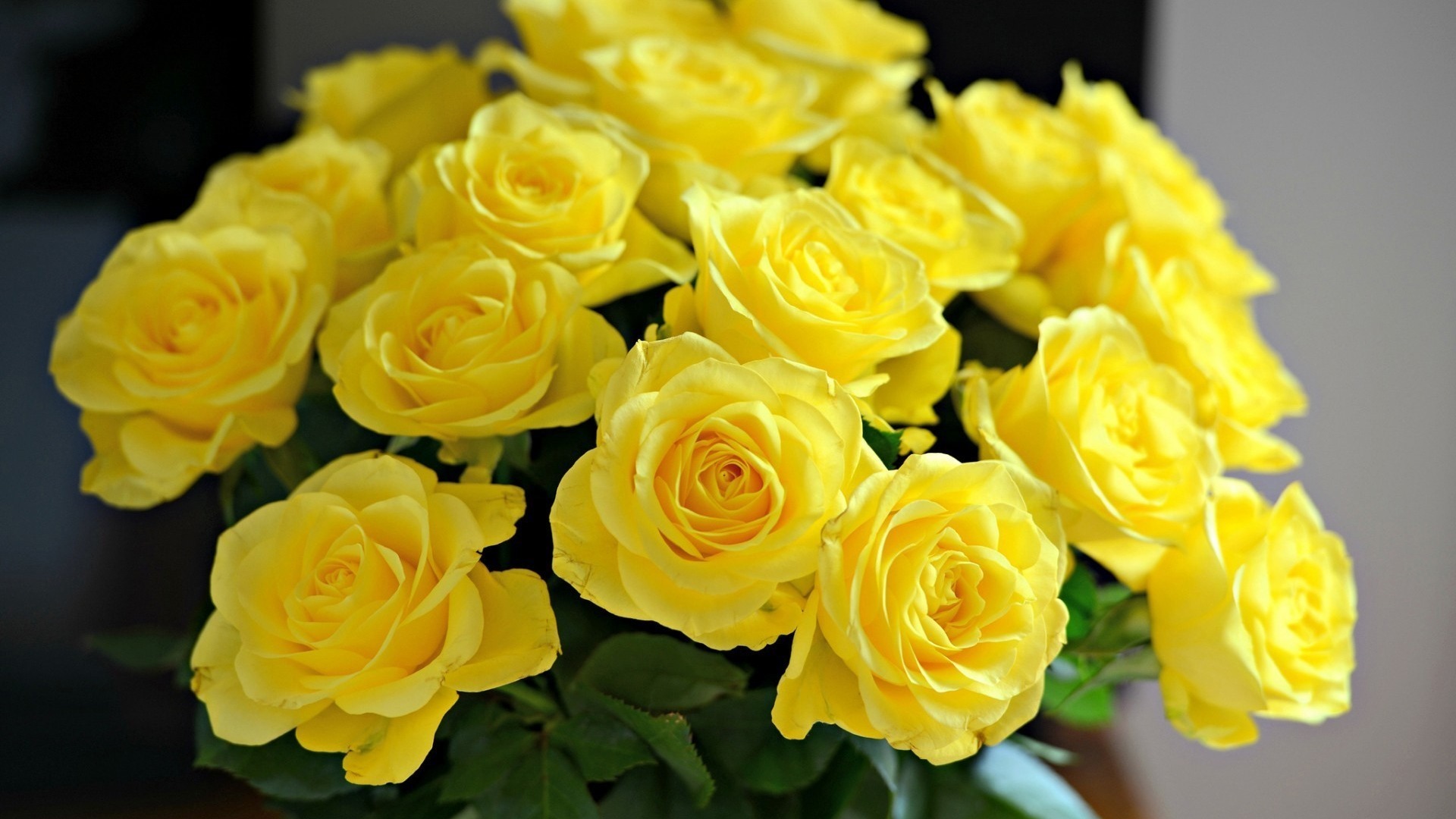 桌面上的壁纸花束 玫瑰 黄