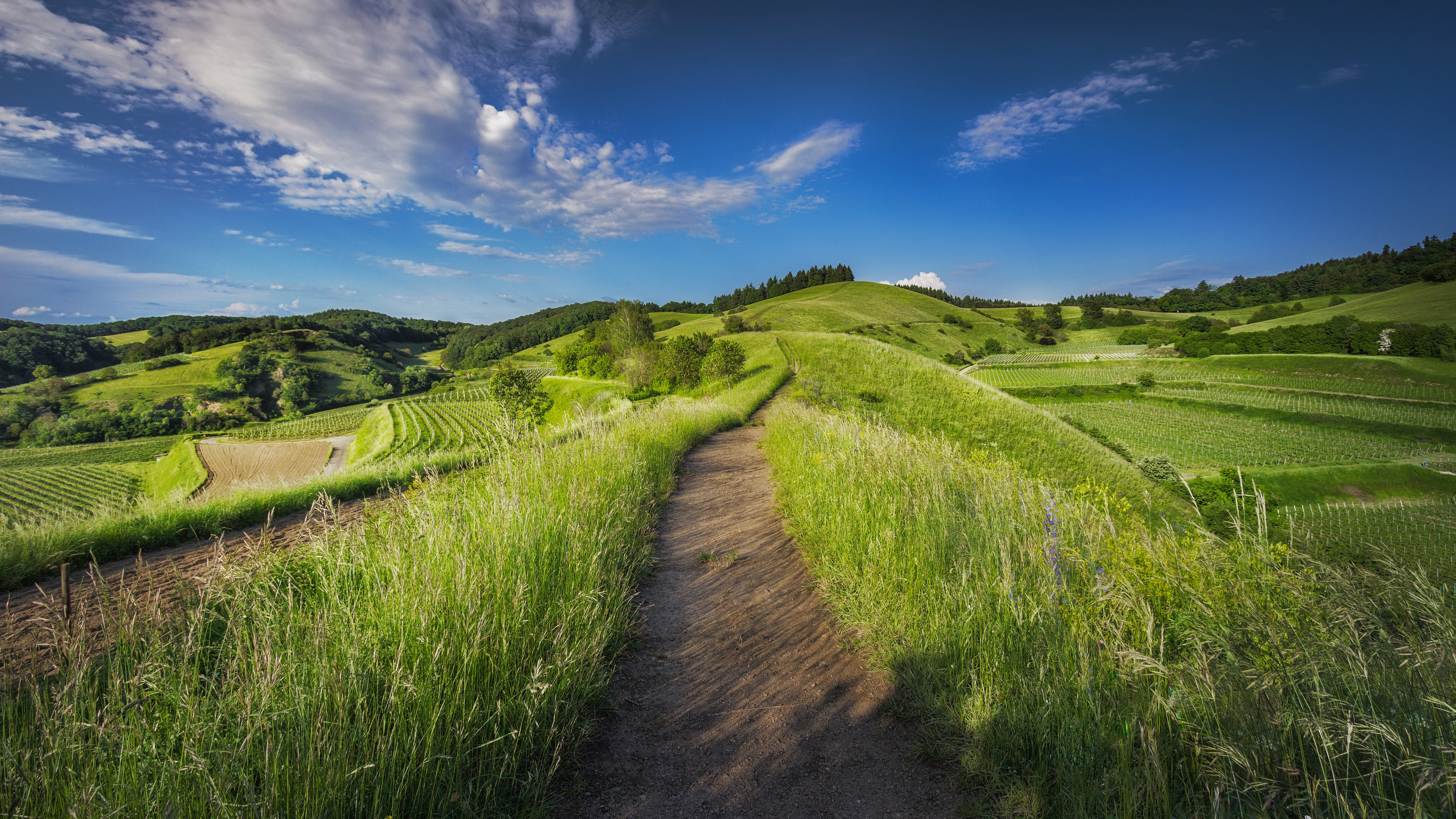 Free photo A trail along the top of a mountain with green grass