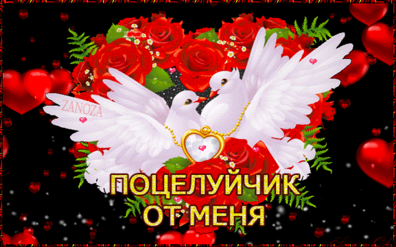 Postcard on the theme a kiss card from me pigeons flowers download for free