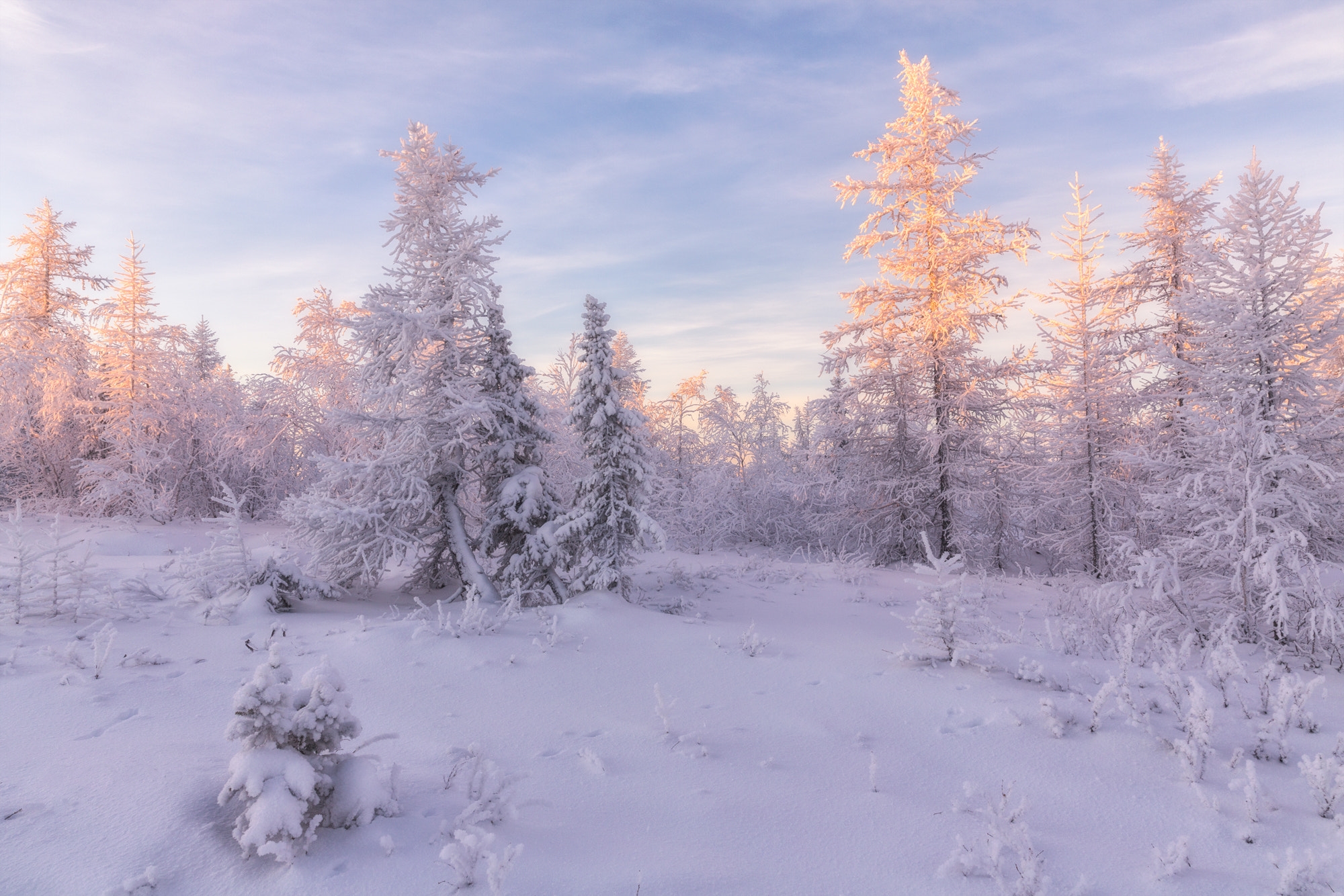 Free photo Snow drifts