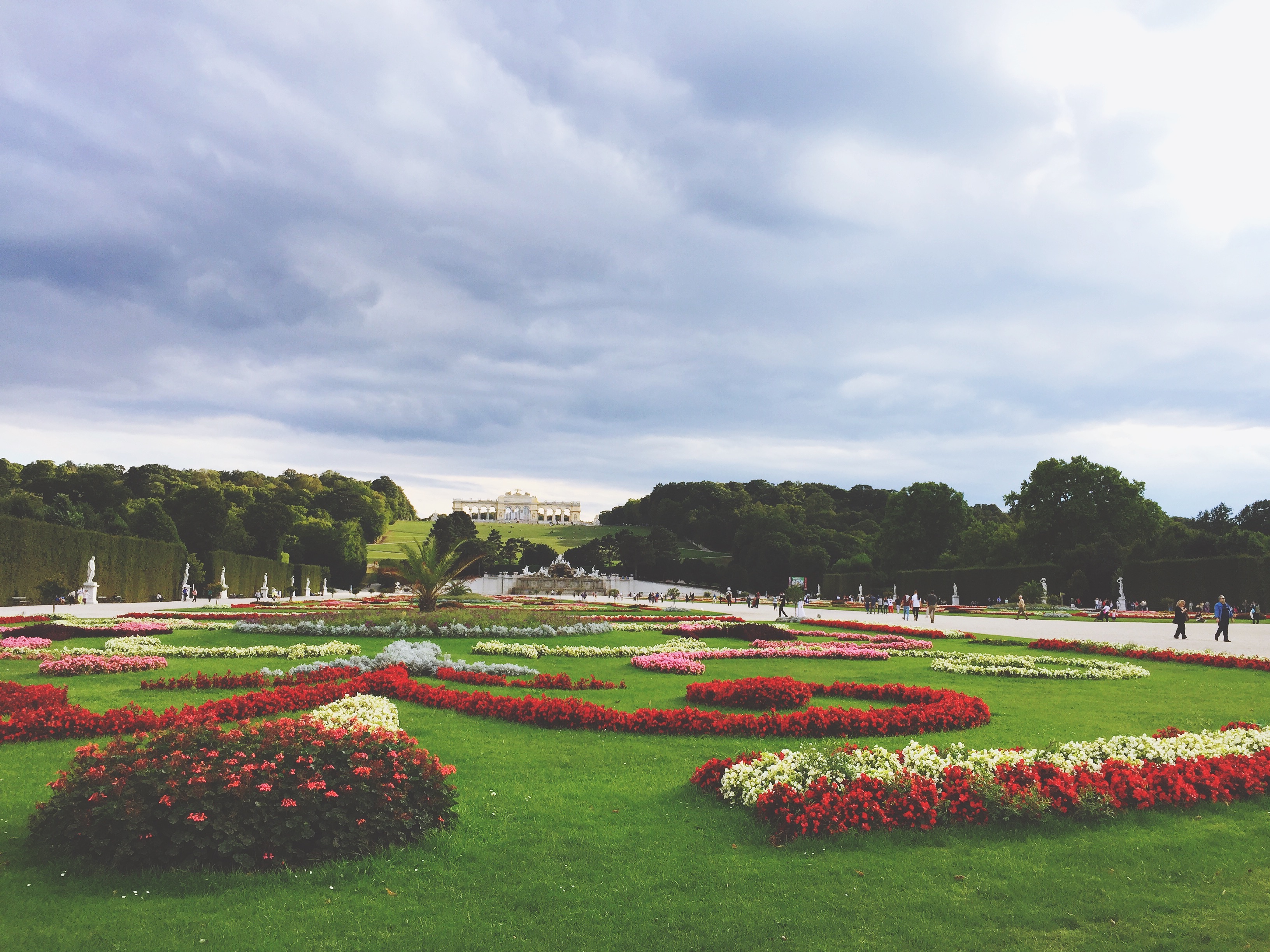 Flowerbeds with flowers on a green lawn