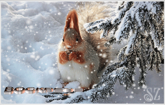 Открытка на тему воскресенье зима снег скачать бесплатно