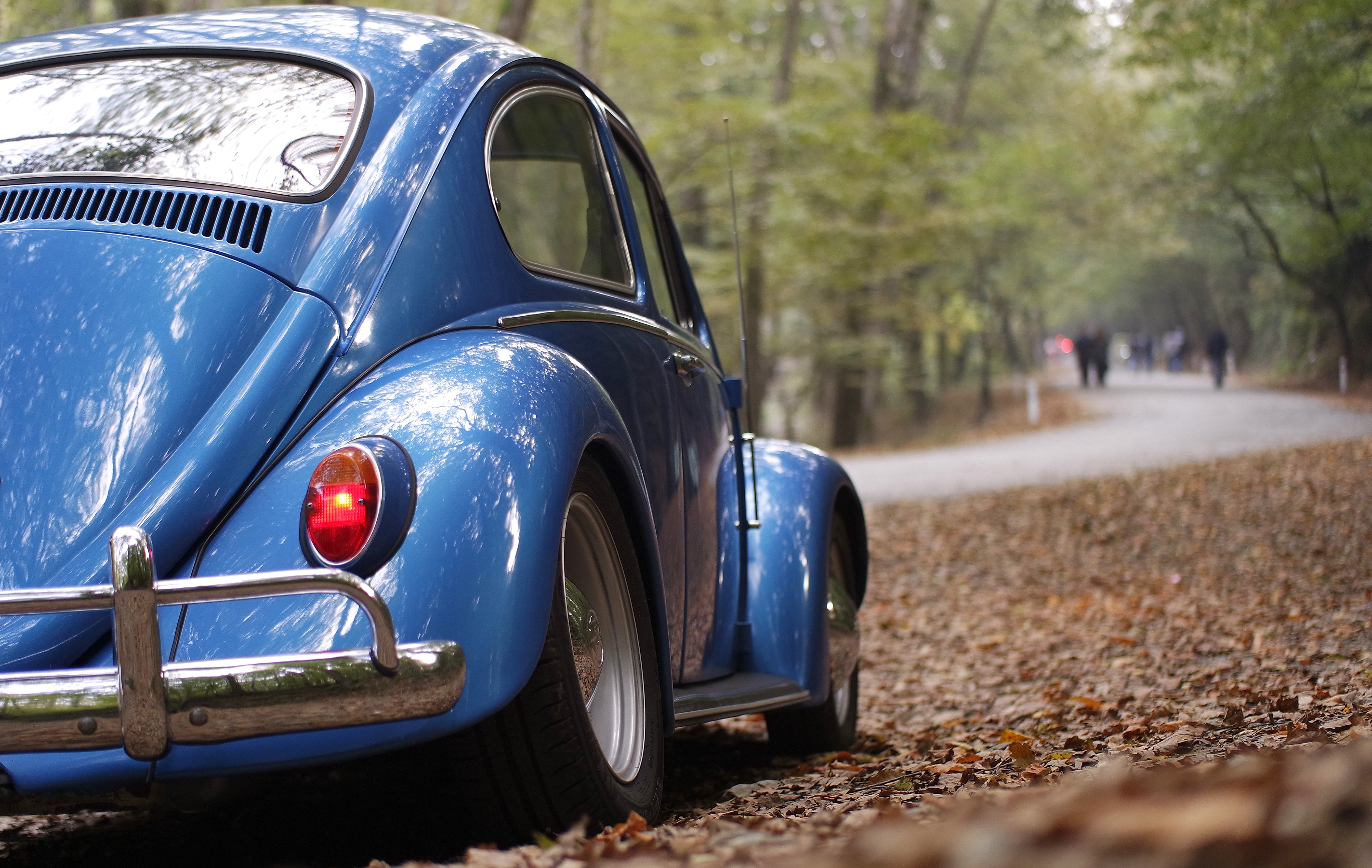 Wallpapers bug autumn leaves blue car on the desktop