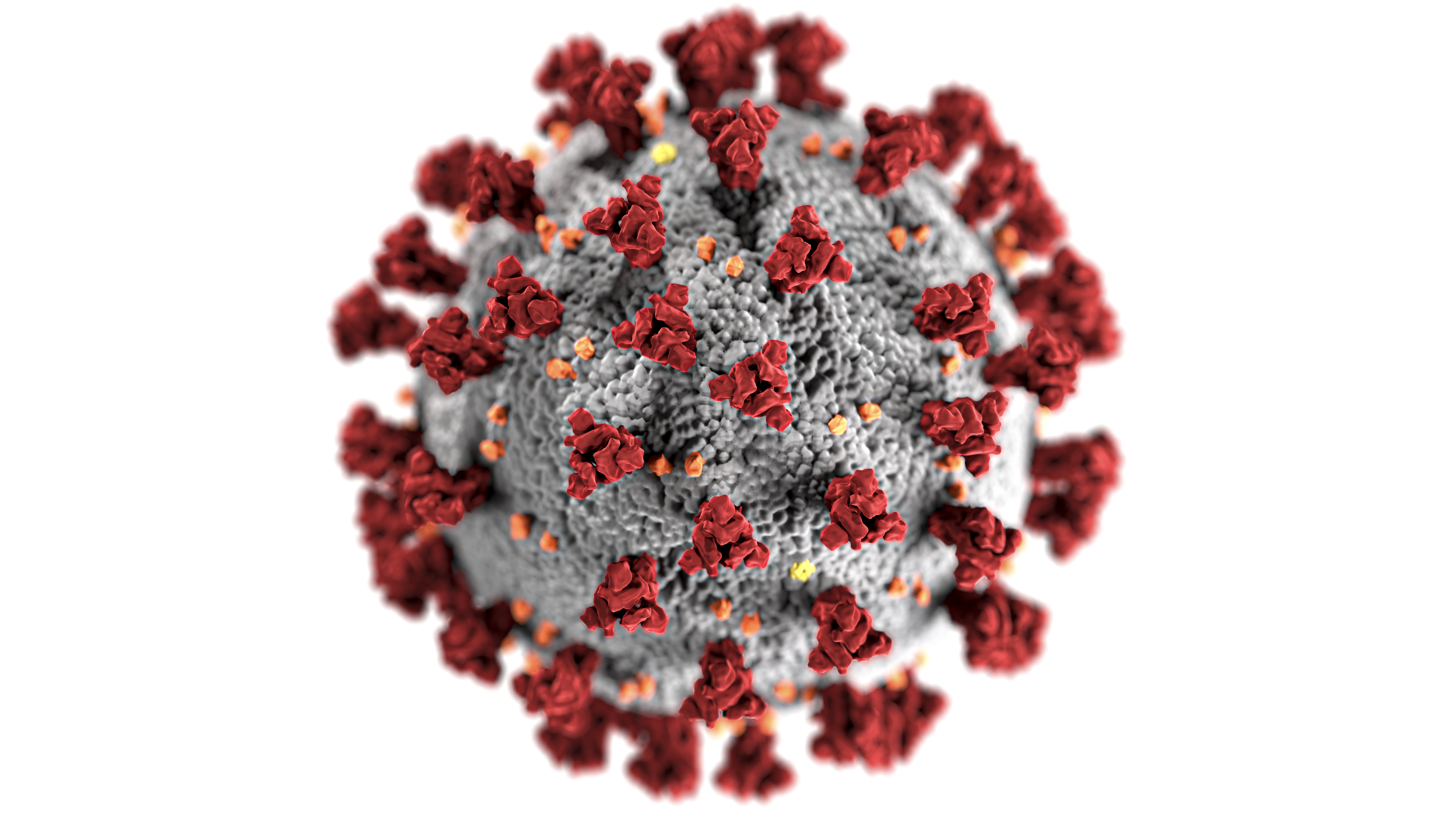 Wallpapers coronavirus cell pandemia on the desktop