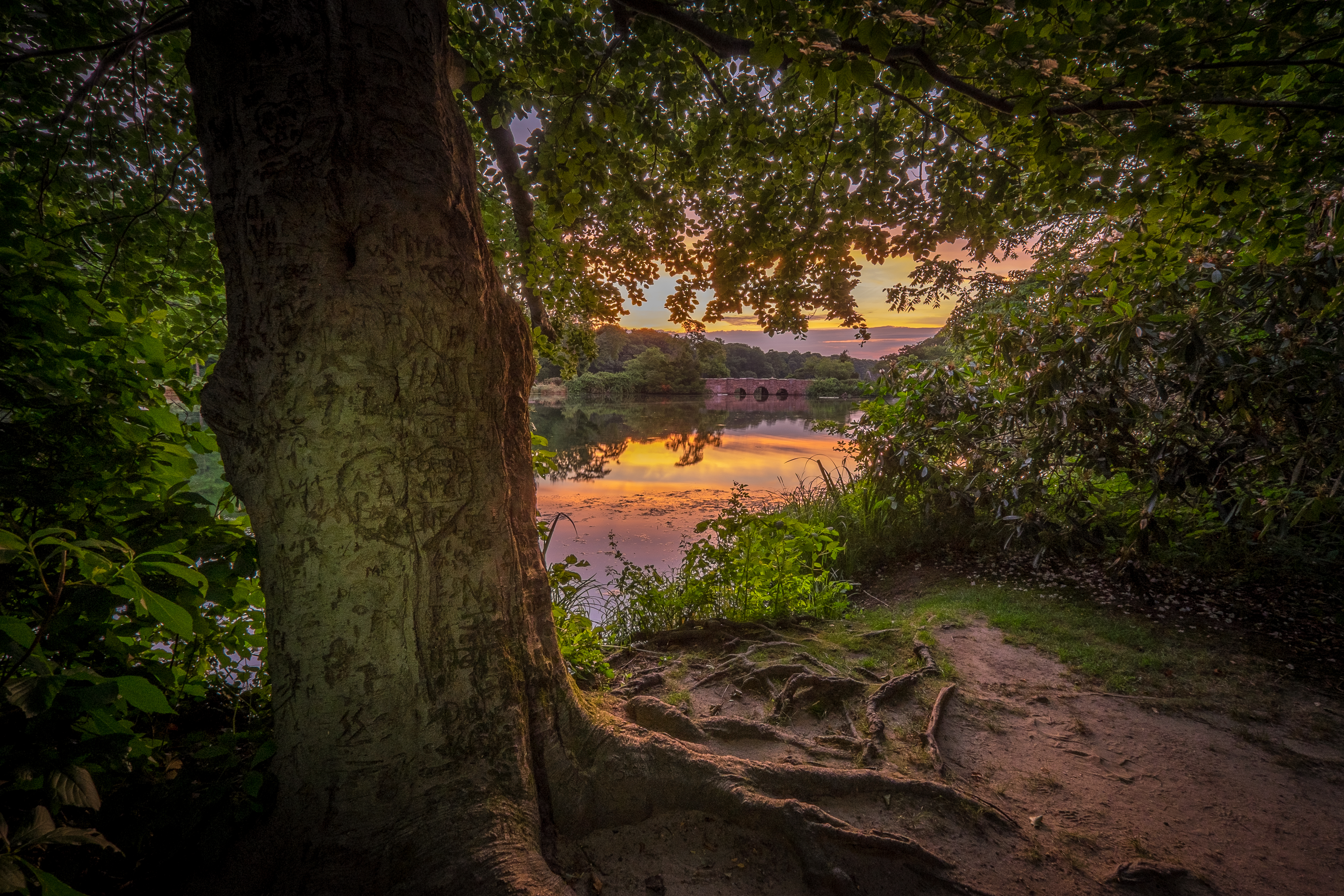 Wallpapers Millpond Setauket sunset on the desktop