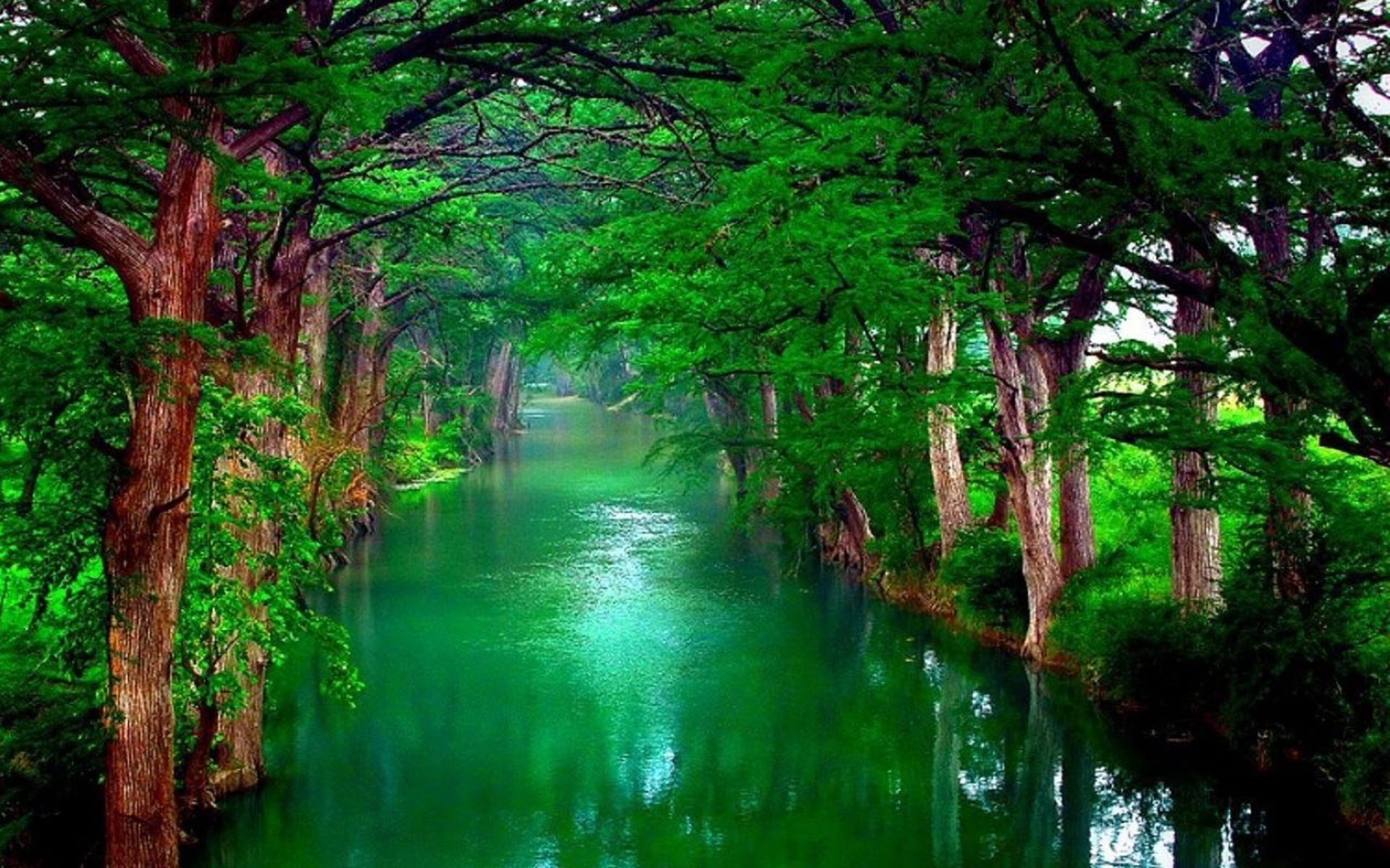 Бесплатное фото Зелёная река