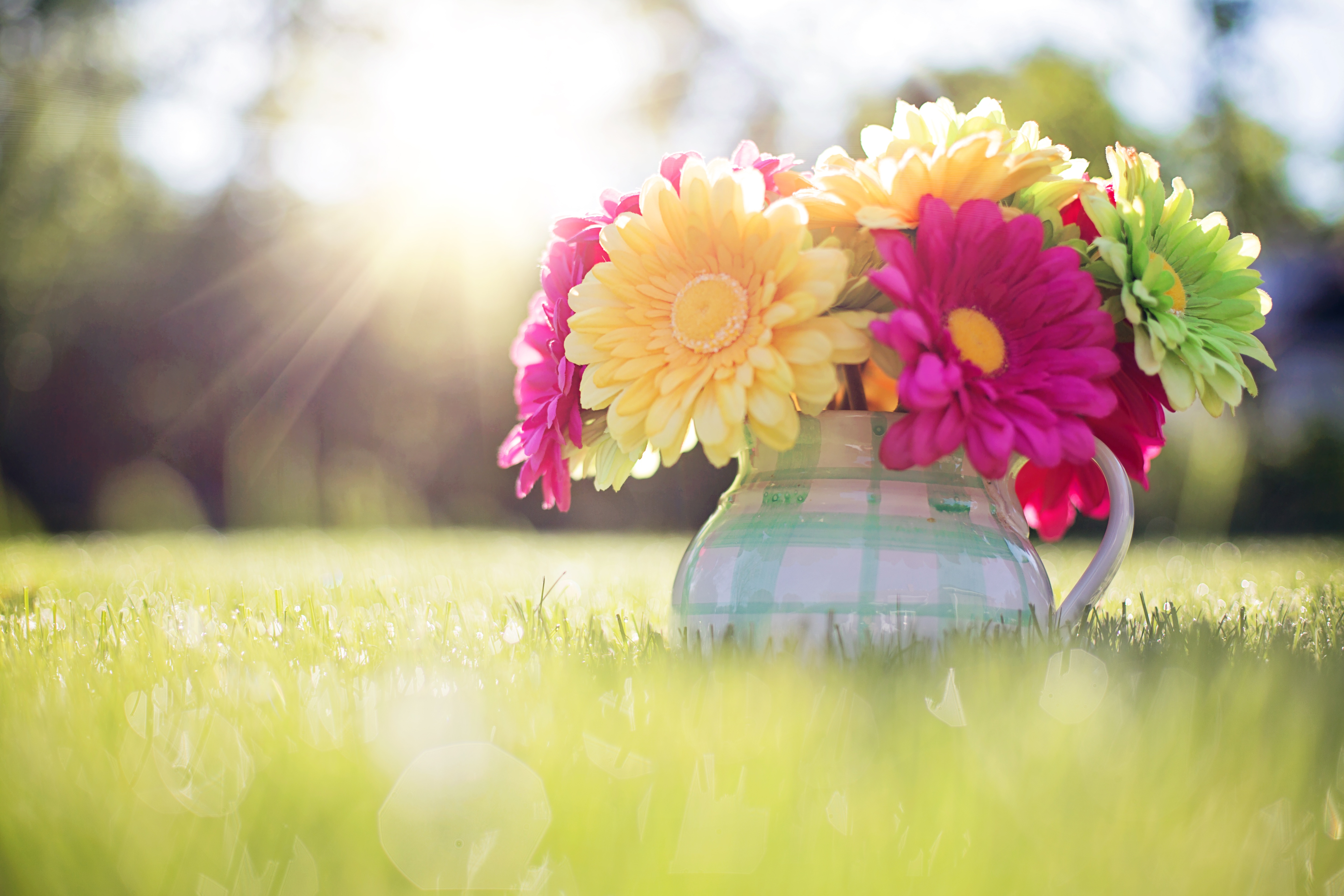 Free photo A vase of flowers in sunny weather