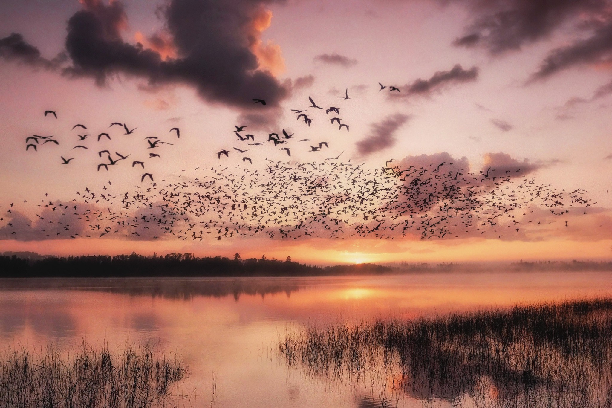 Обои природа обои на рабочий стол