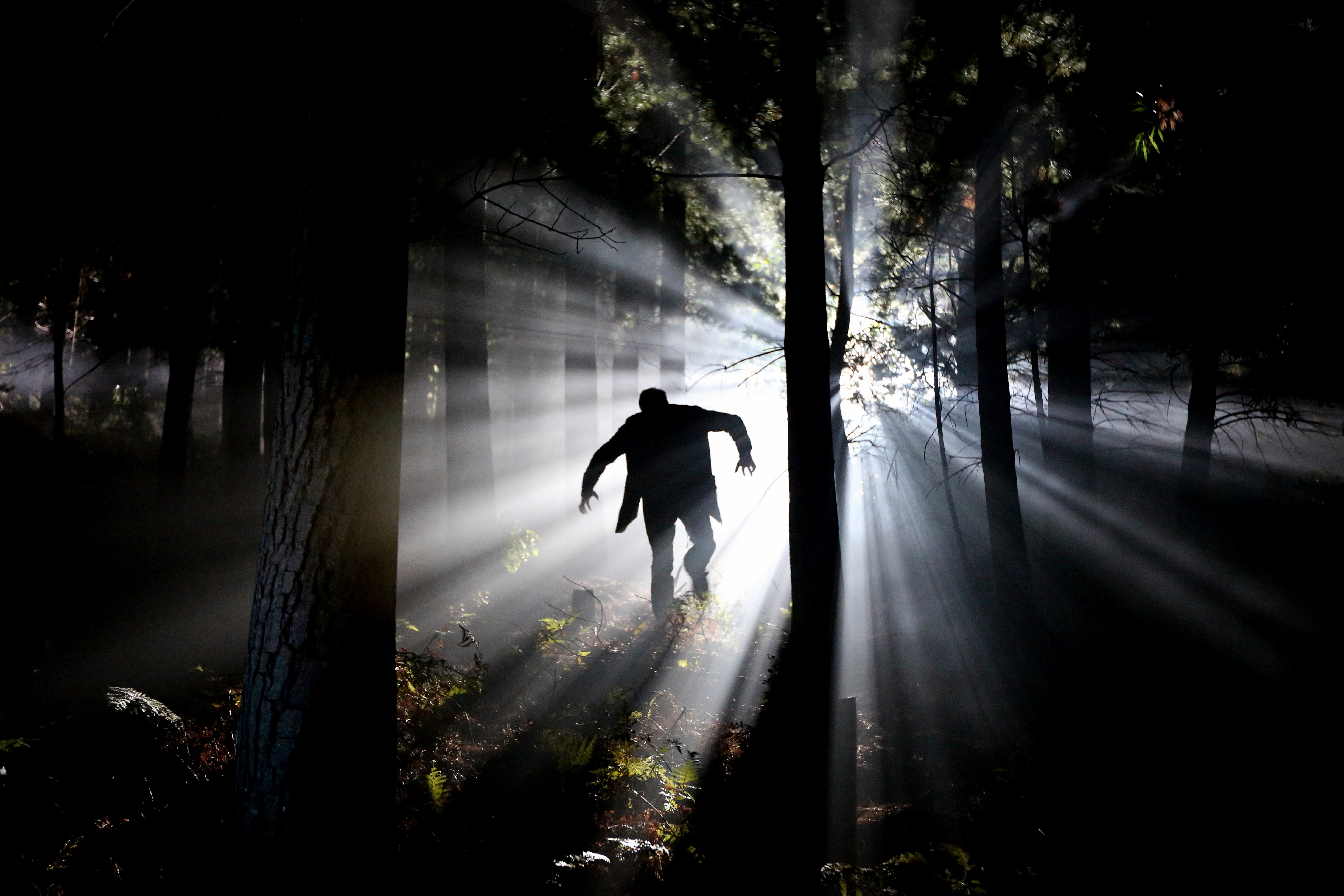 Free photo A man walks into the sunlight from a dark forest