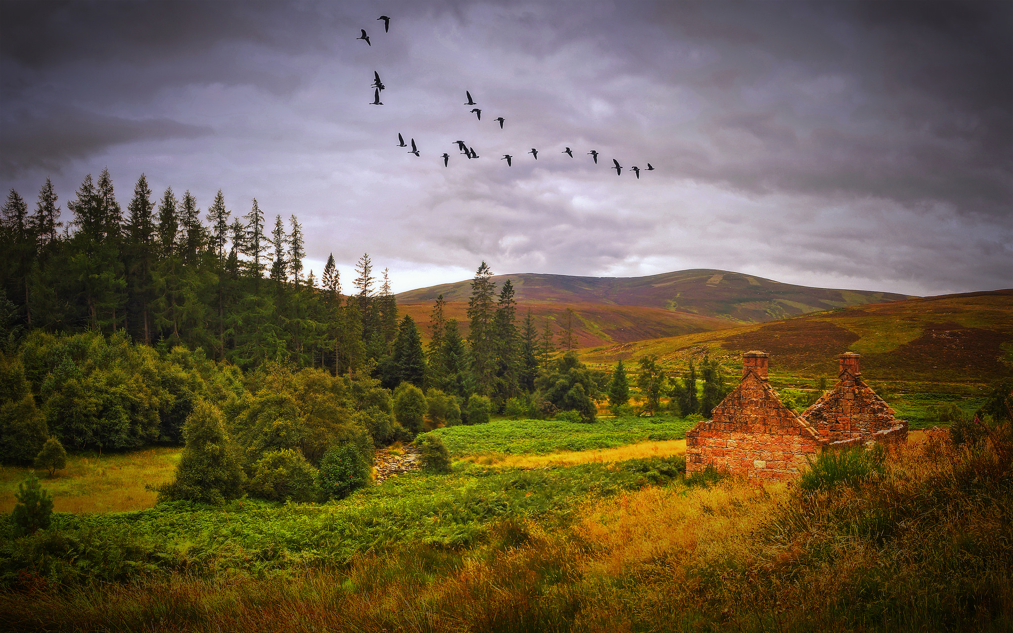 Обои Autumn Scotland осень на рабочий стол