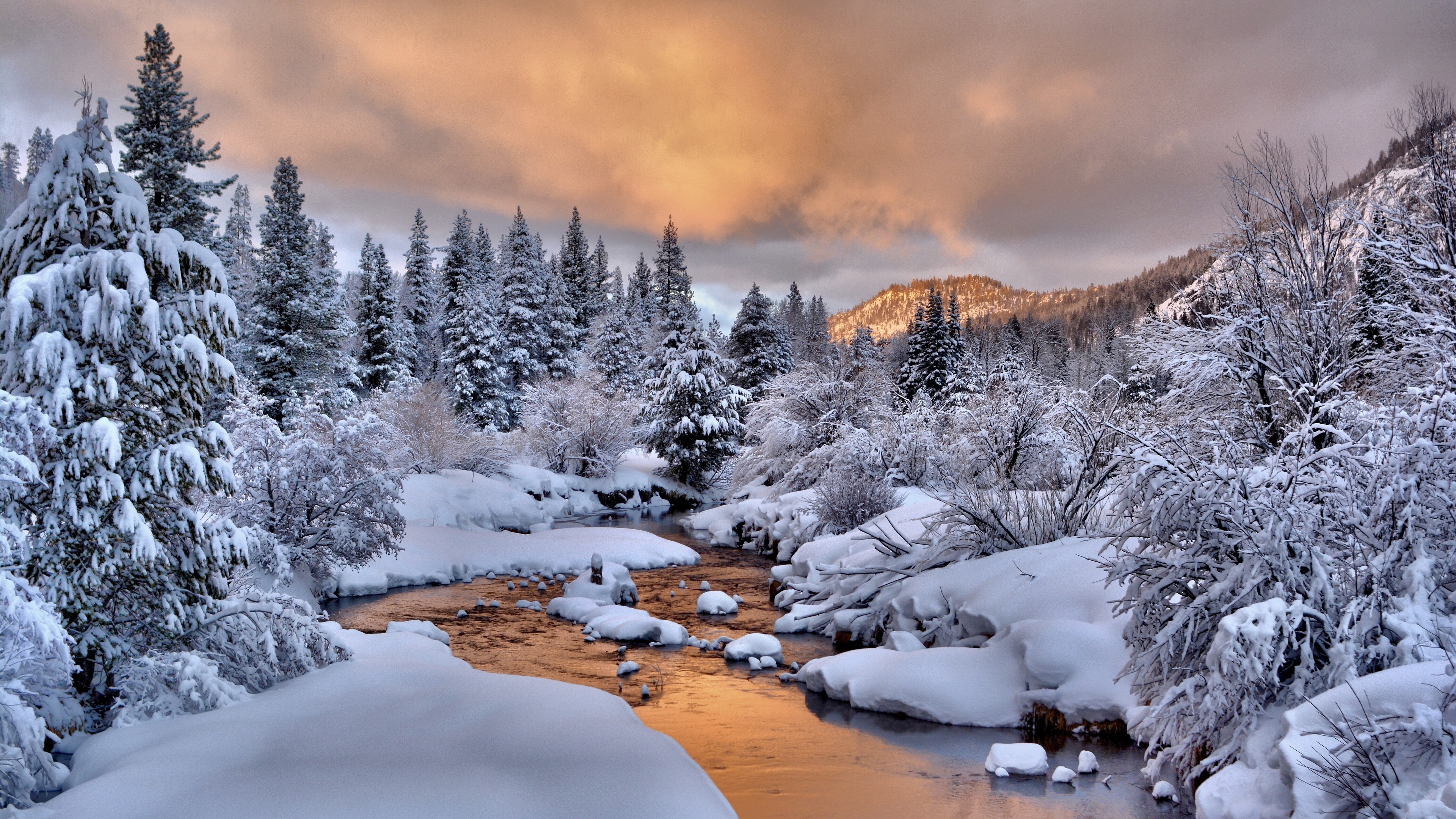 Free photo Snow-covered winter landscape