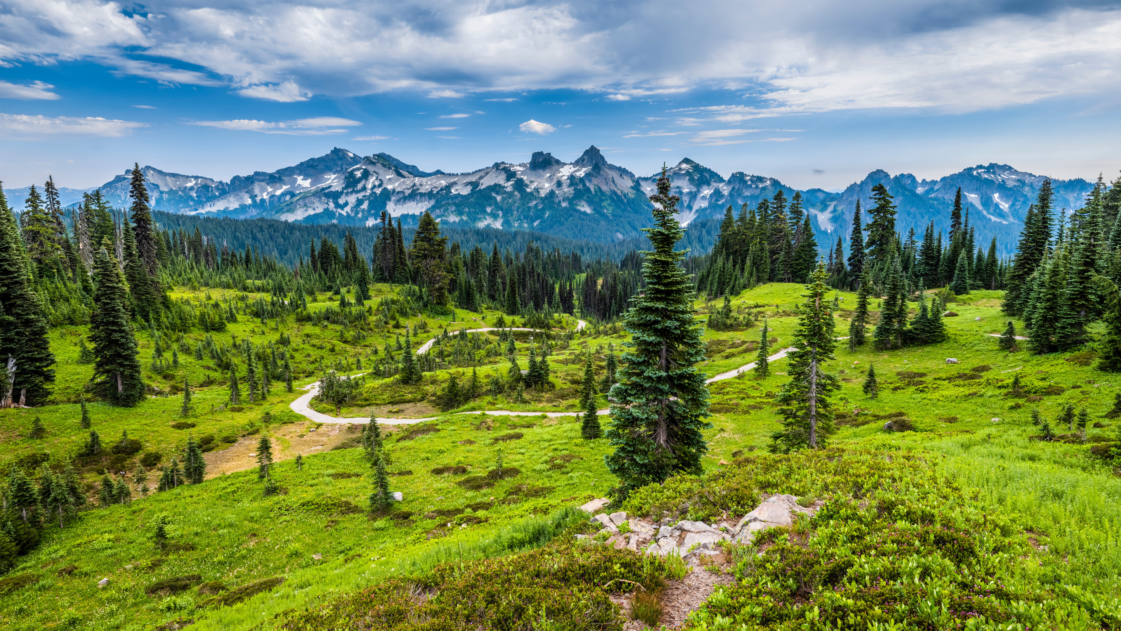 Free photo A meandering path across a lawn in the United States
