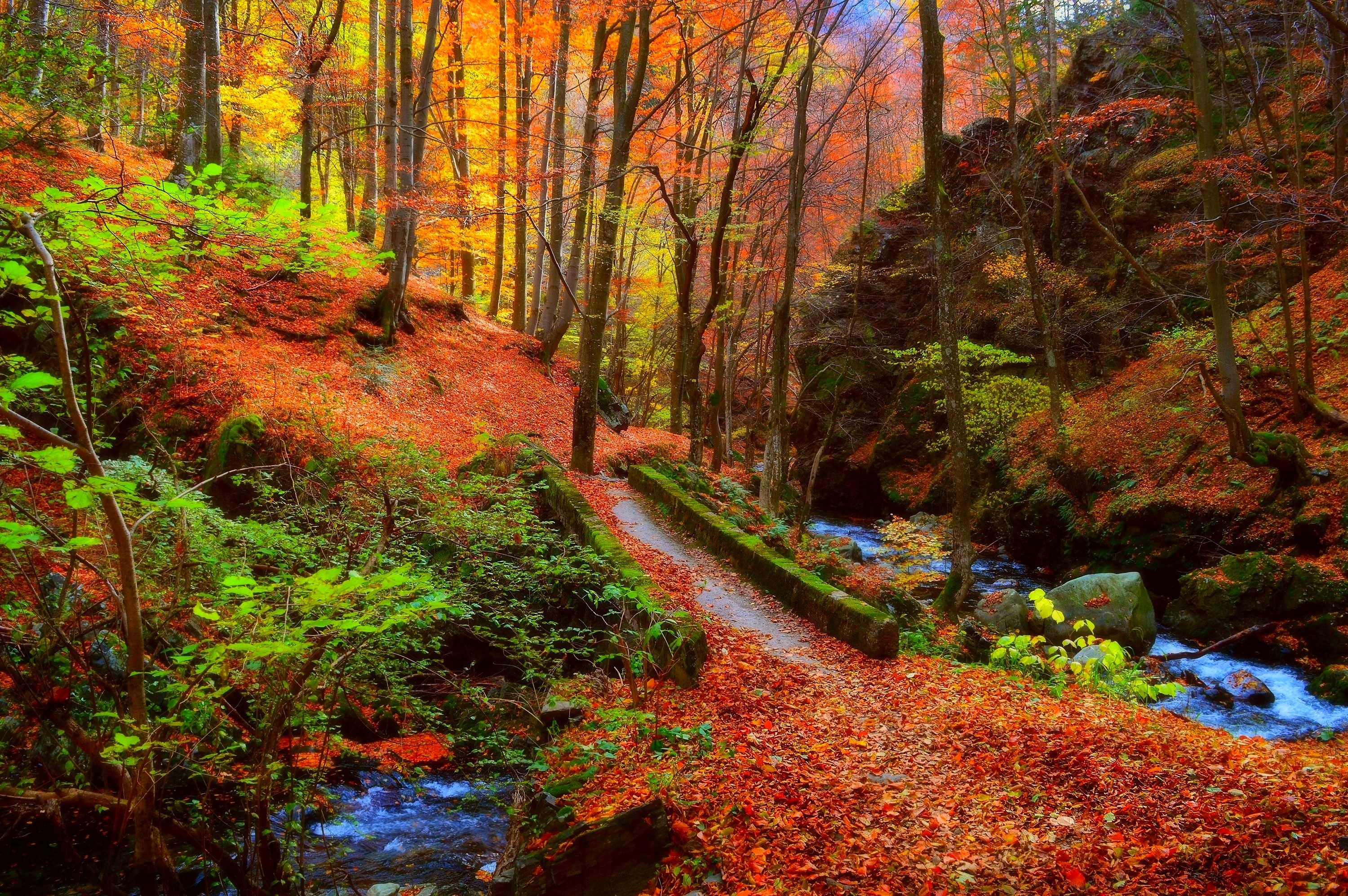 Wallpapers magical river autumn bridge on the desktop