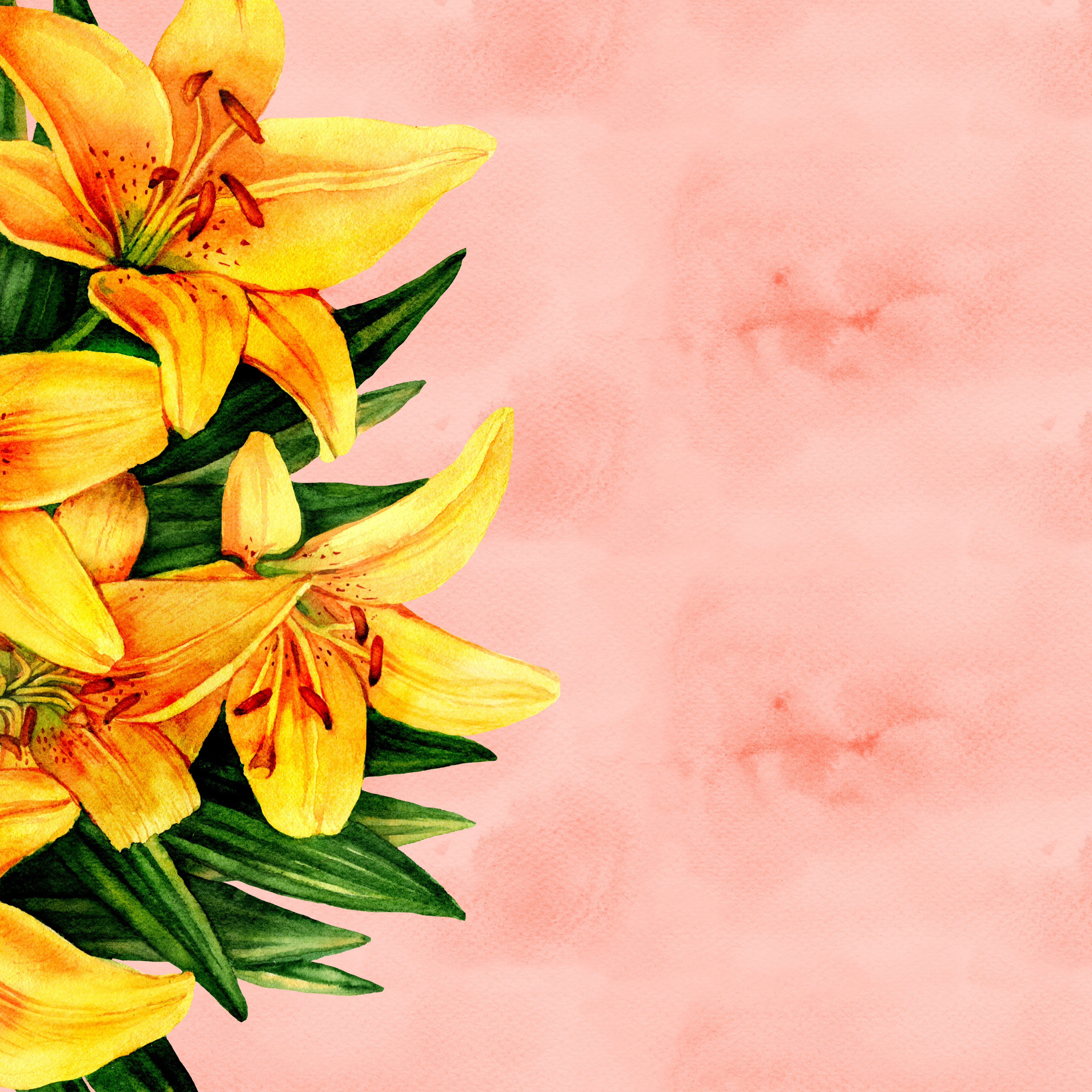 Wallpapers flower paper lilies on the desktop