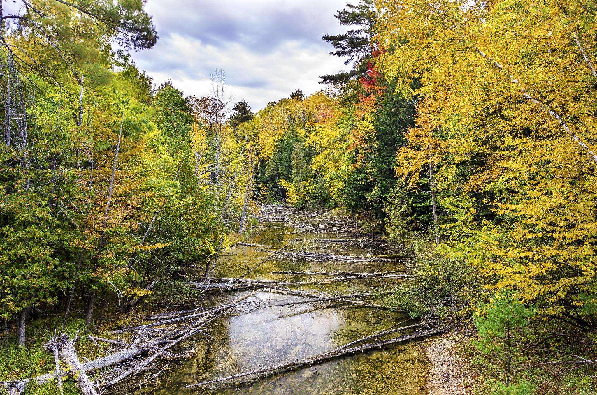 Wallpapers river in the forest forest autumn on the desktop