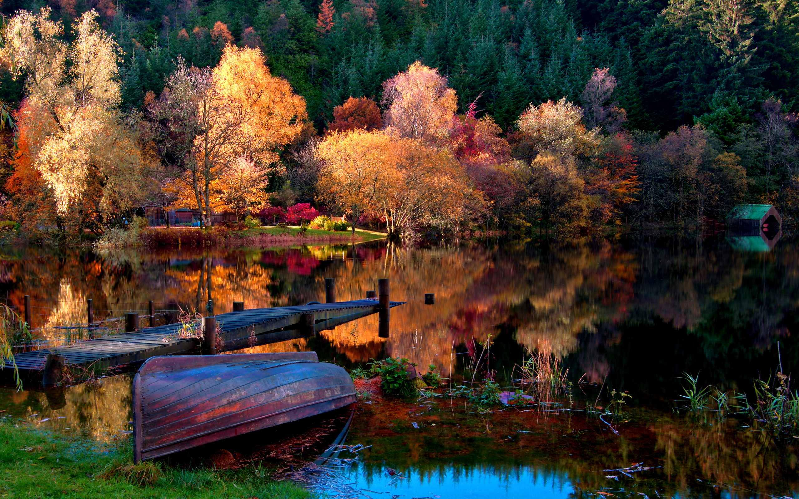 Бесплатное фото Перевернутая лодка на берегу озера в осеннем лесу