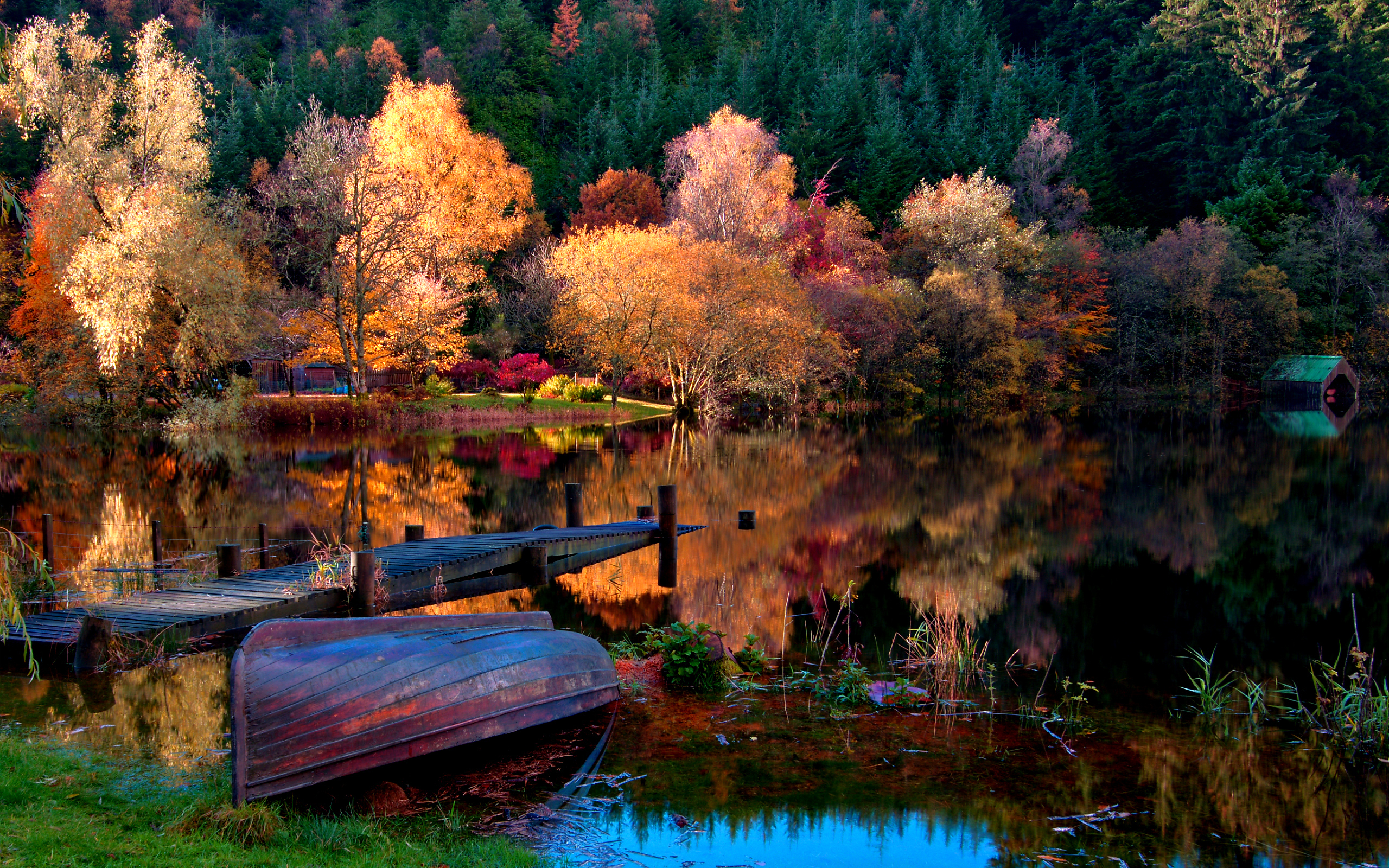 Free photo An overturned boat on the shore of a lake in the fall woods