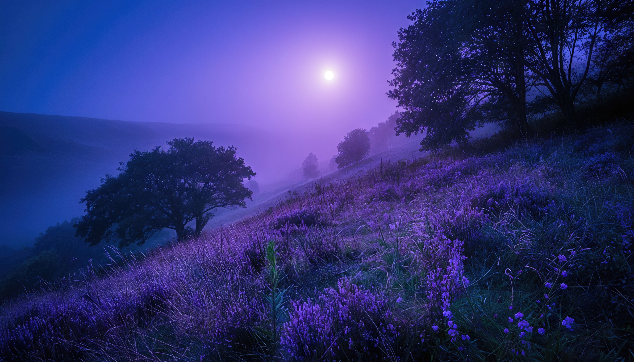 Бесплатное фото Ночной пейзаж с полями лаванды, освещенными луной, и деревьями на фоне.