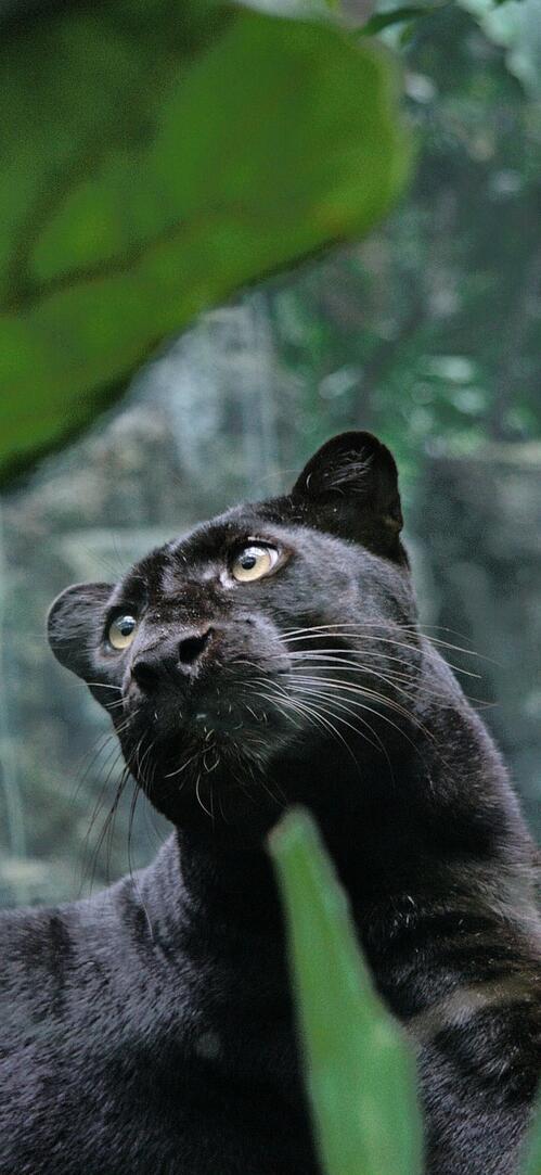 Porno yigit omma oldida onanizm qiladi Ayollar butunlay yalangoch kurash