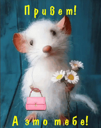 Открытка на тему милые цветы просто привет скачать бесплатно