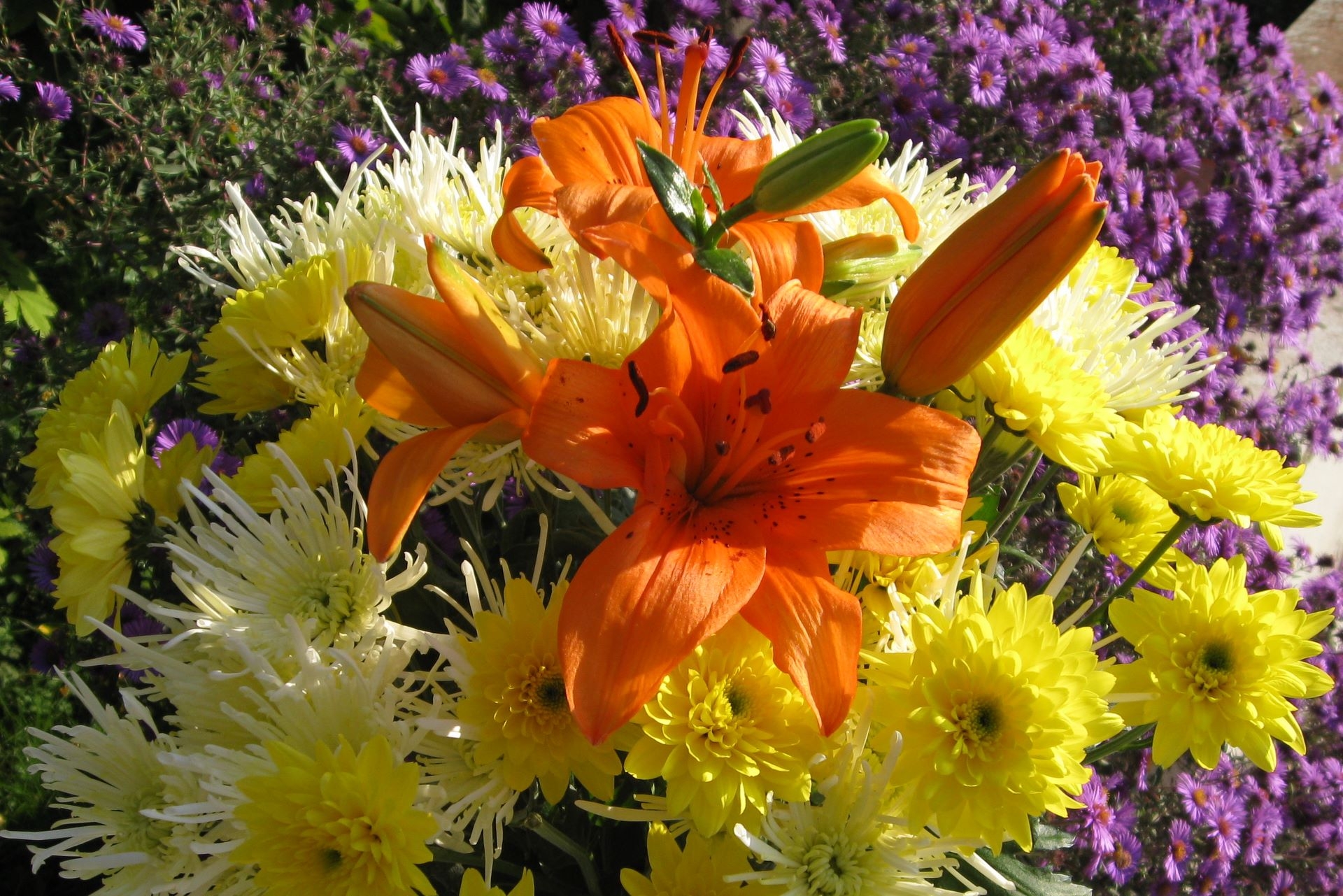 Обои цветы цветок букеты на рабочий стол