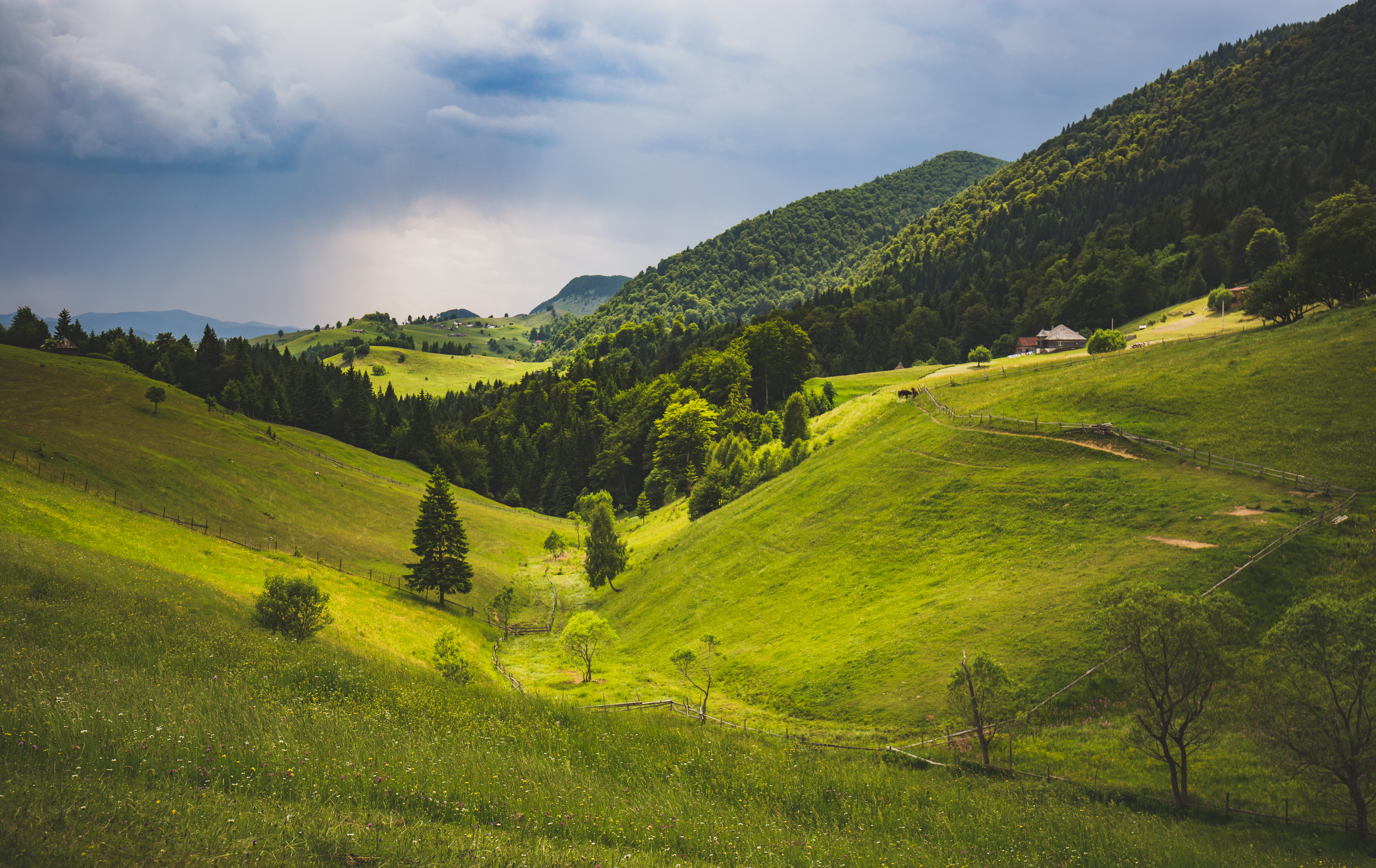 Wallpapers landscape nature Brasov on the desktop