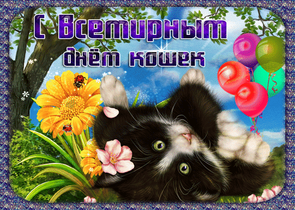 Открытка на тему день кошек еда скачать бесплатно