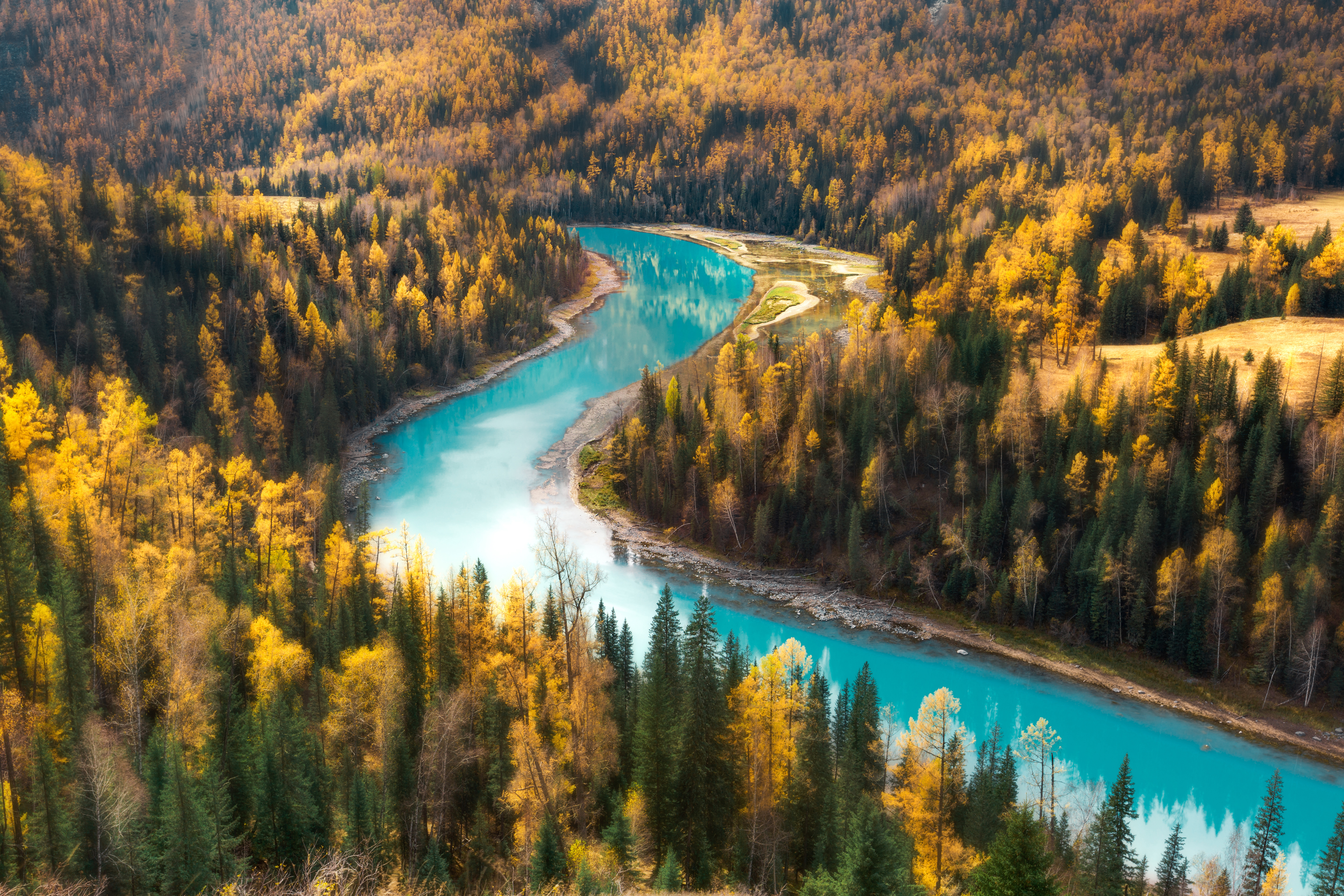 免费照片一条流经古老森林的河流