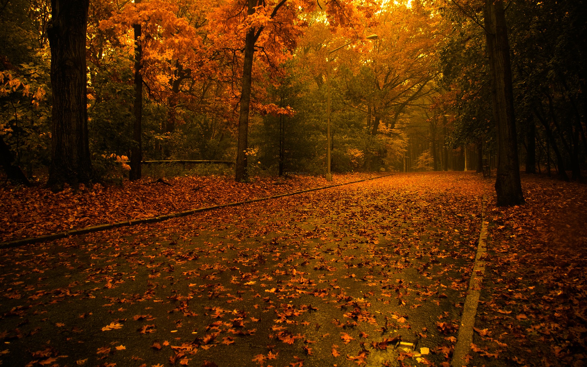 Обои осенний листопад дорога деревья на рабочий стол