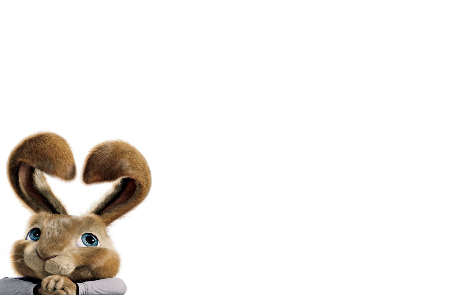 Toy long-eared bunny on white background