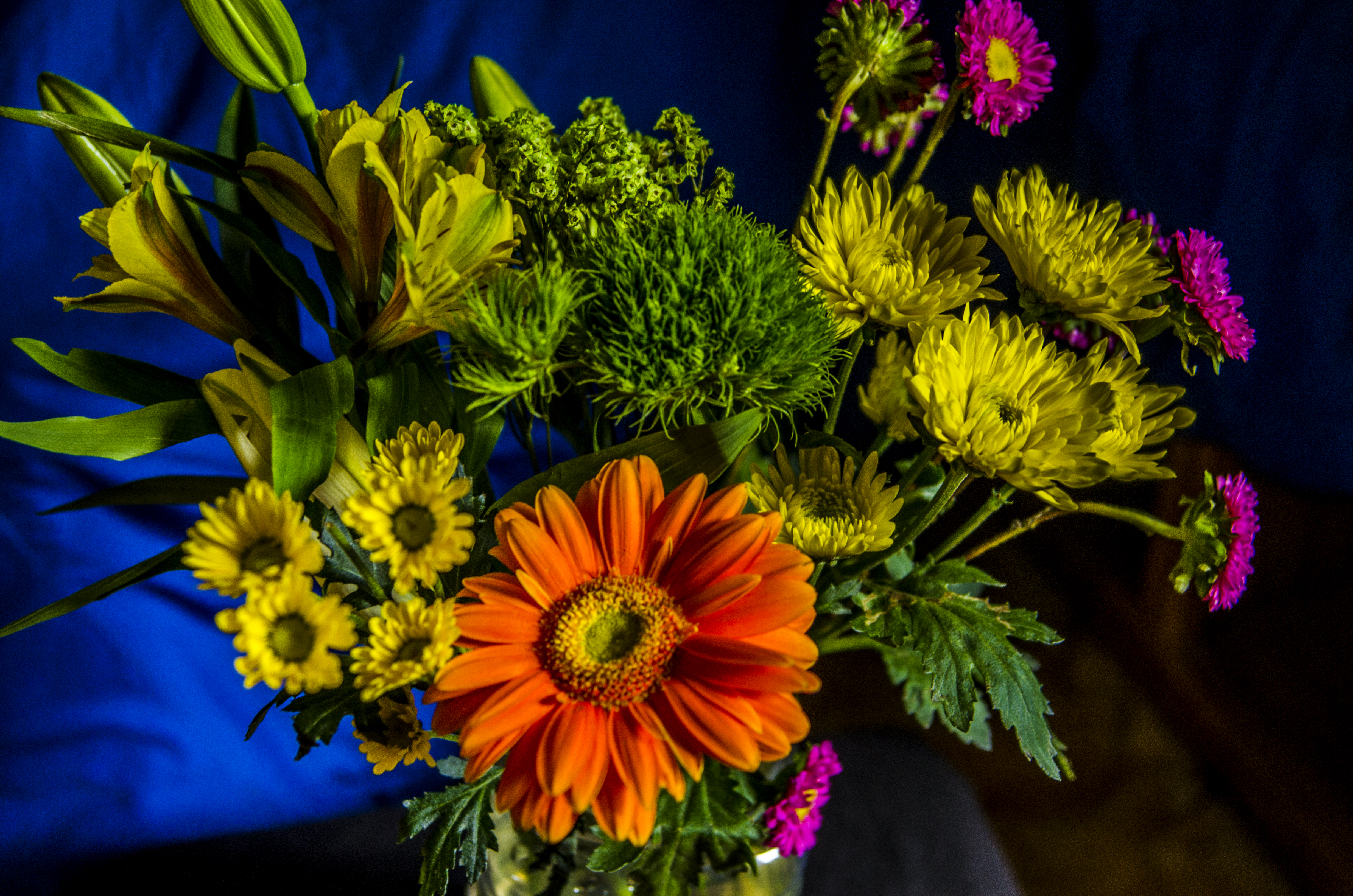 Обои Красочный букет цветы красивый букет на рабочий стол