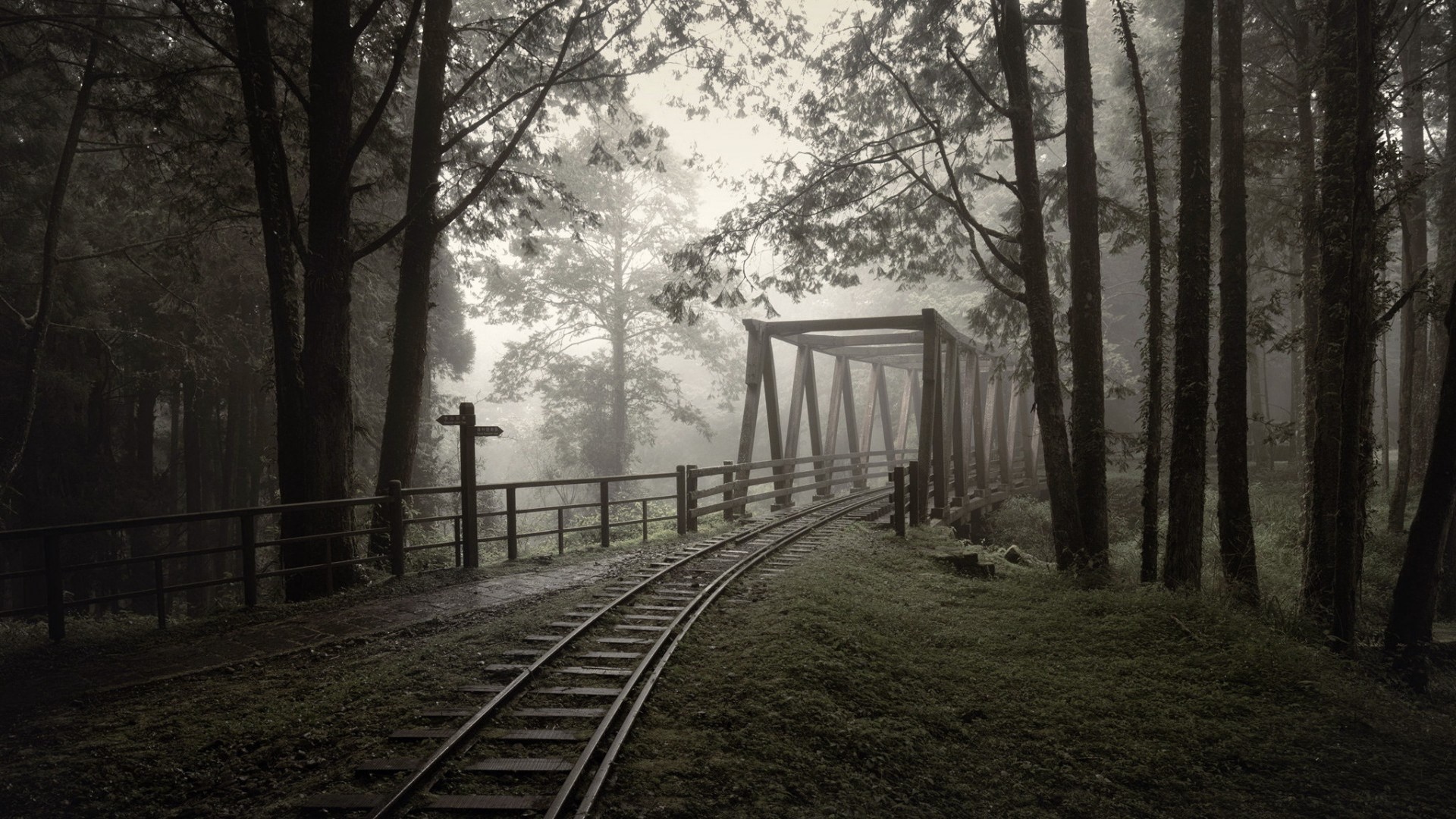 Железнодорожный мост в туманном лесу