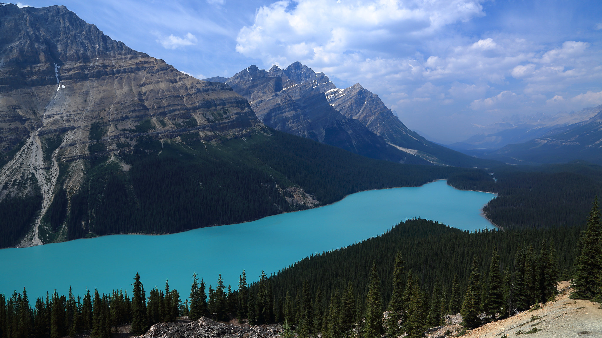 Обои Peyto Lake лес облака на рабочий стол