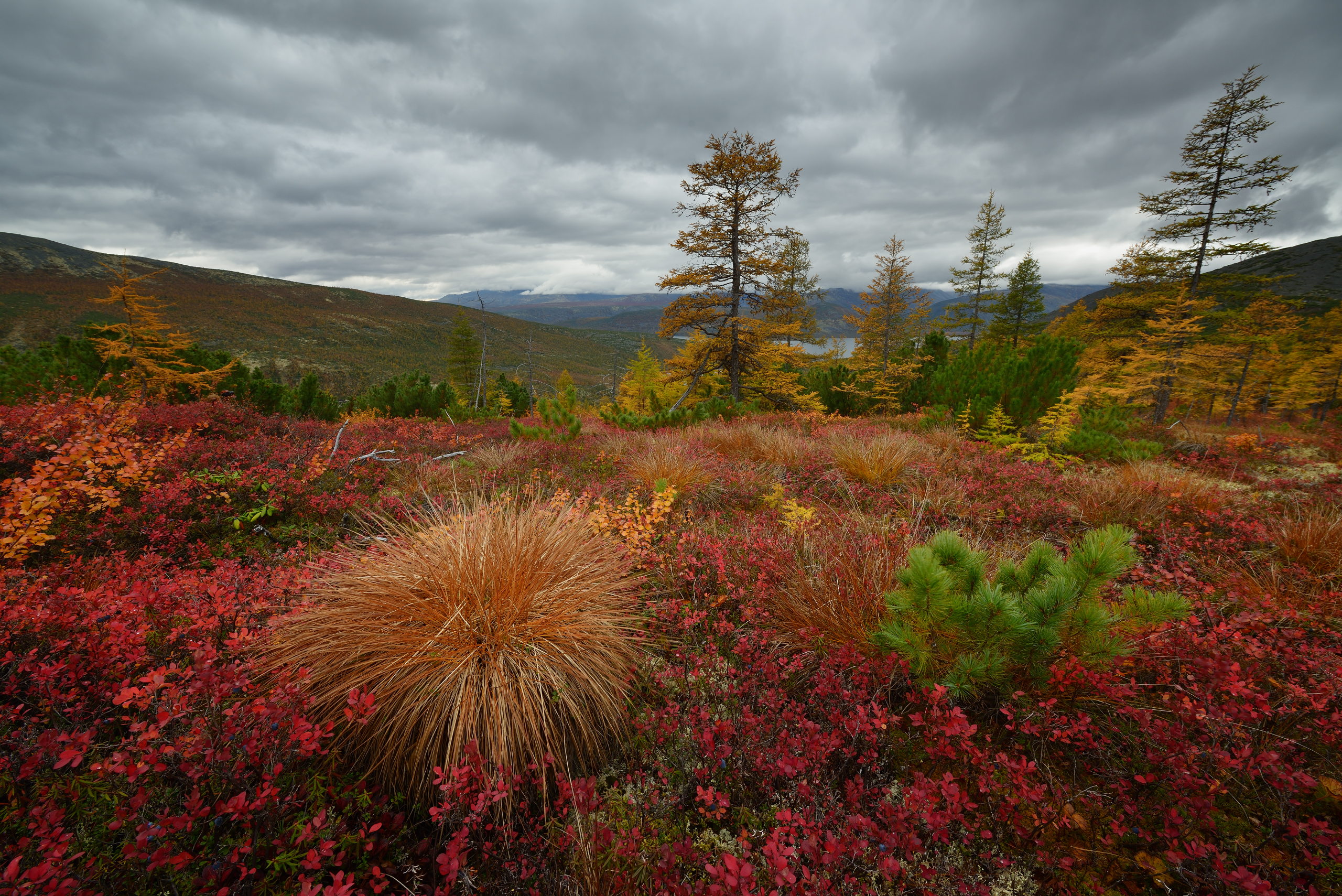 Free photo Autumn nature of Kolyma