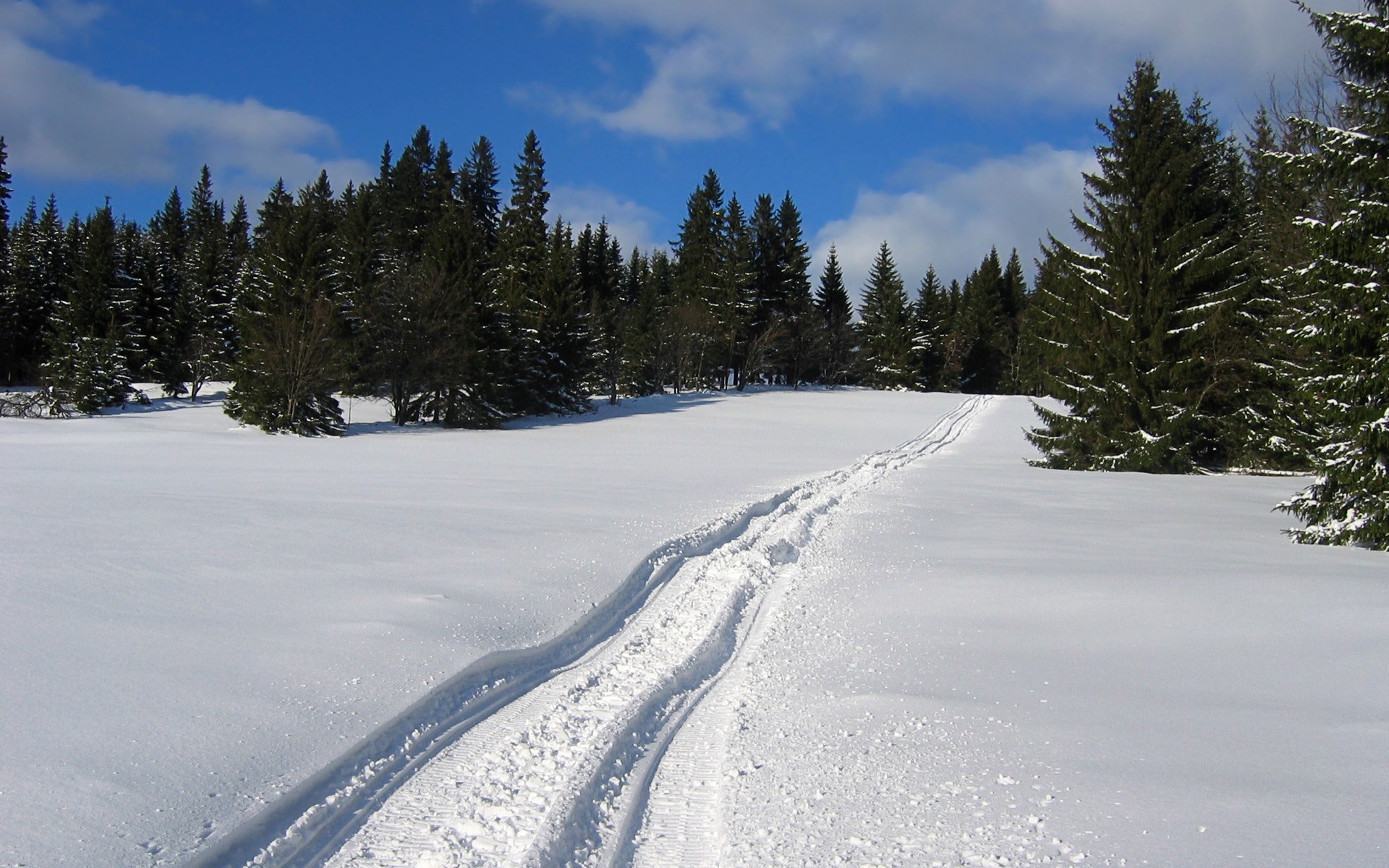 履带式设备在雪地上留下的痕迹