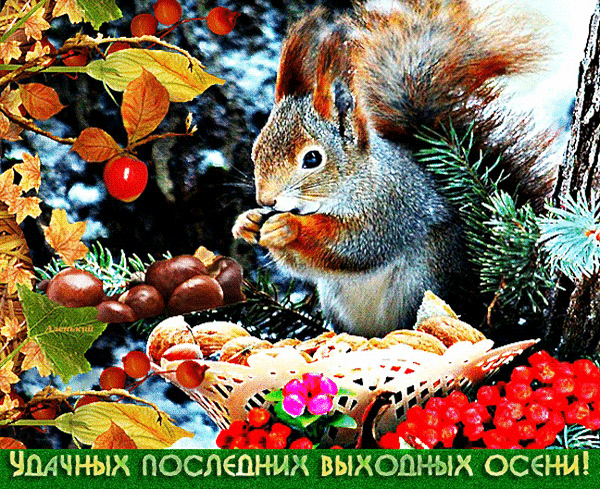 Открытка на тему животные орехи грызун скачать бесплатно