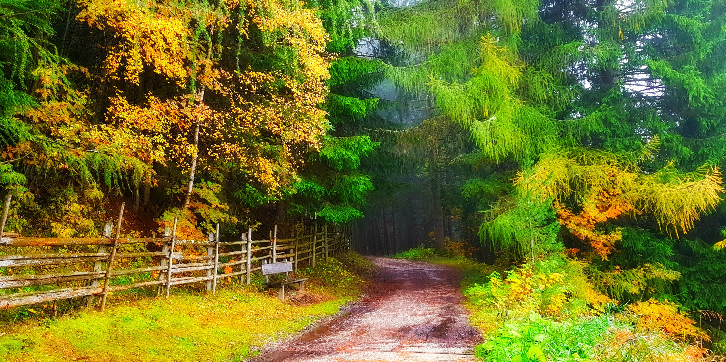 Красивый осенний пейзаж