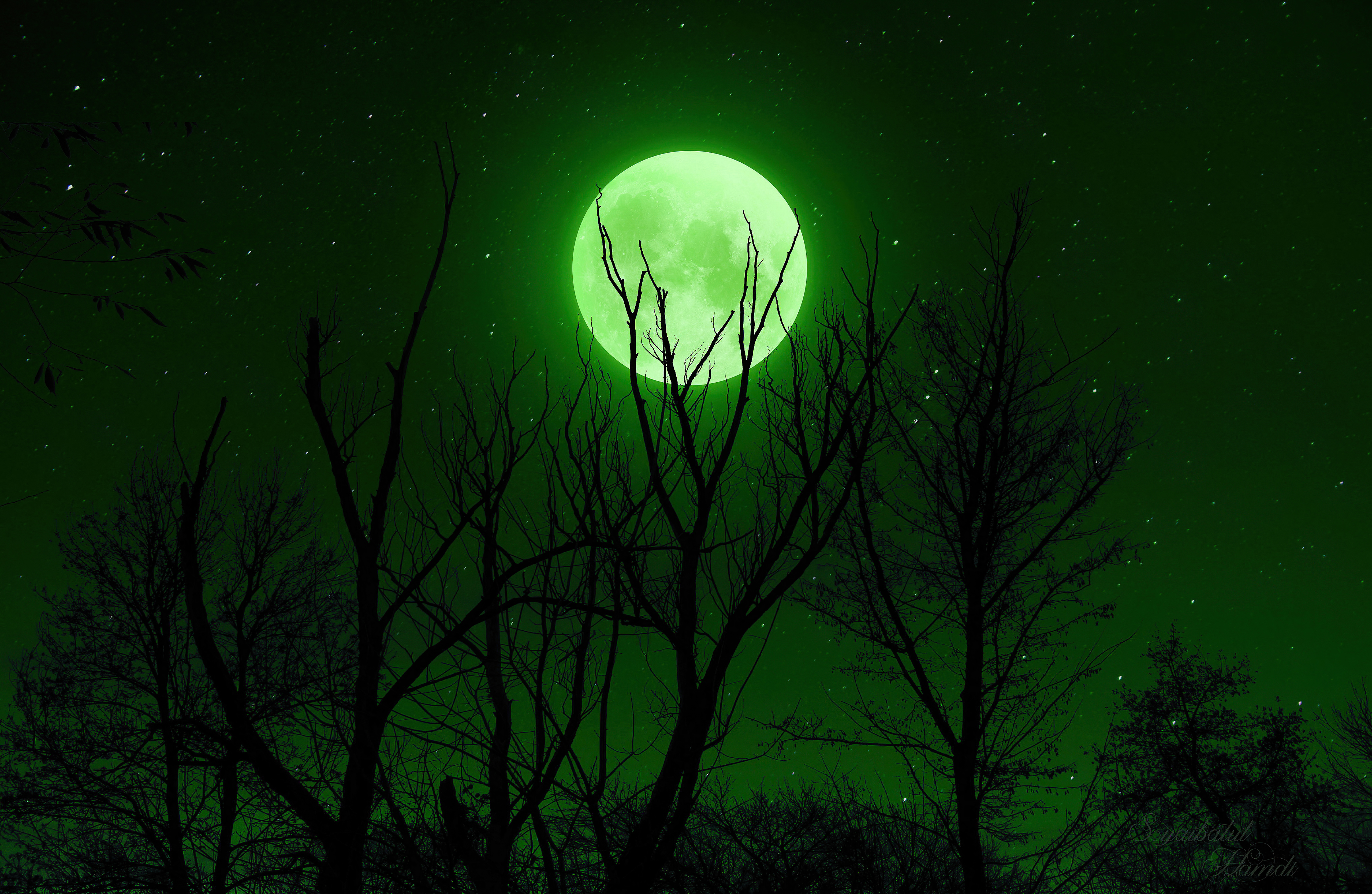 树干下的绿色月亮