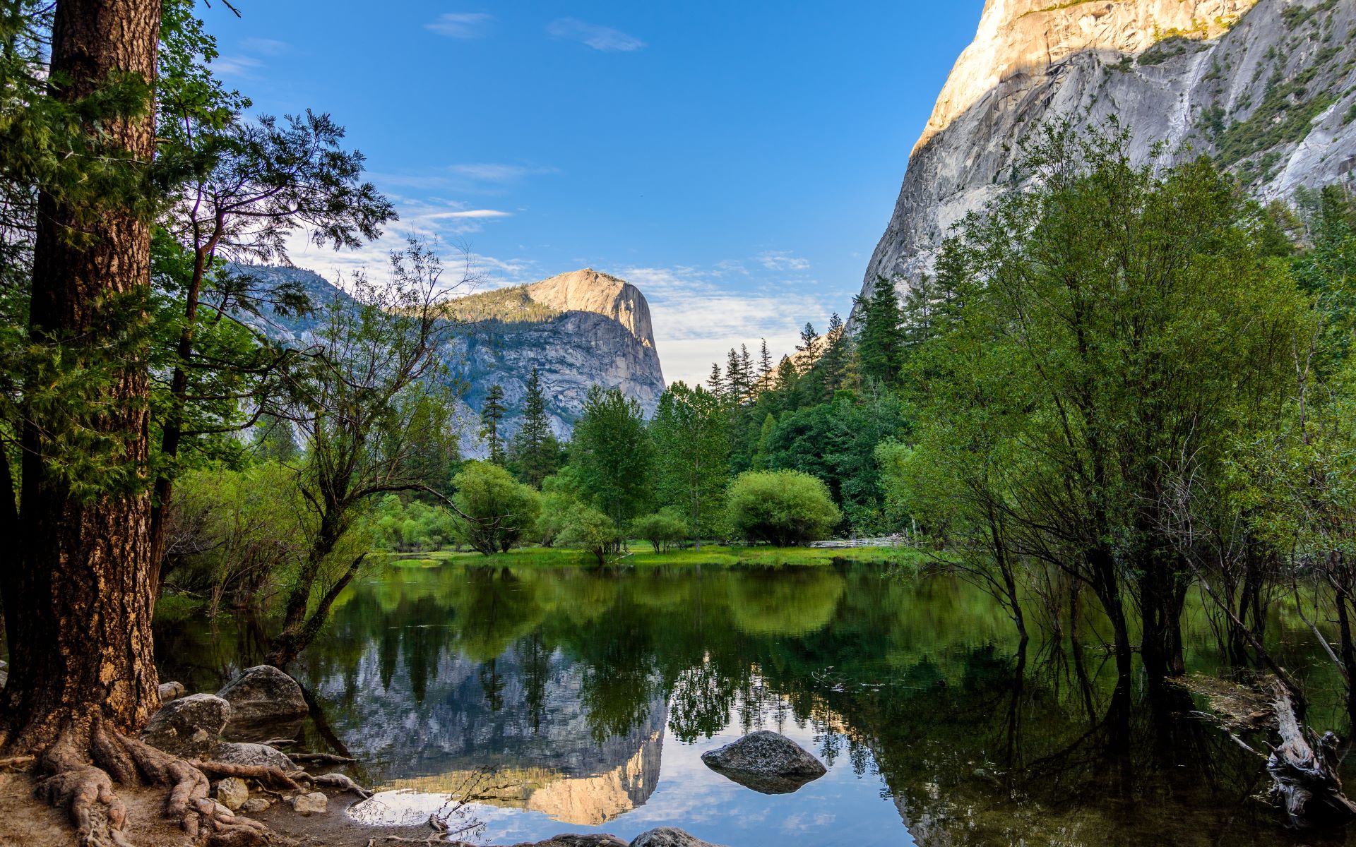 Free photo Landscape. Riverbanks