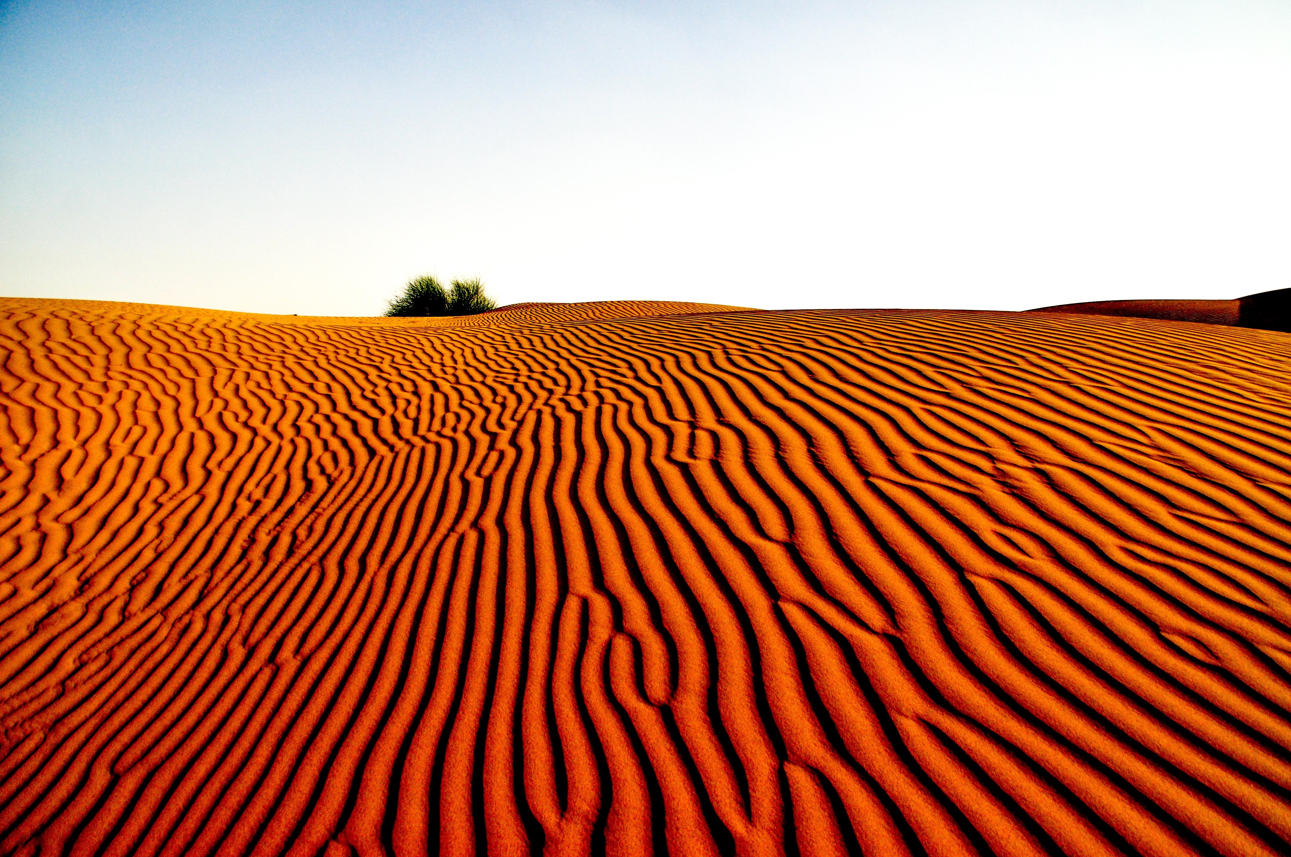 Free photo The wind drew a beautiful relief on the sand in the desert