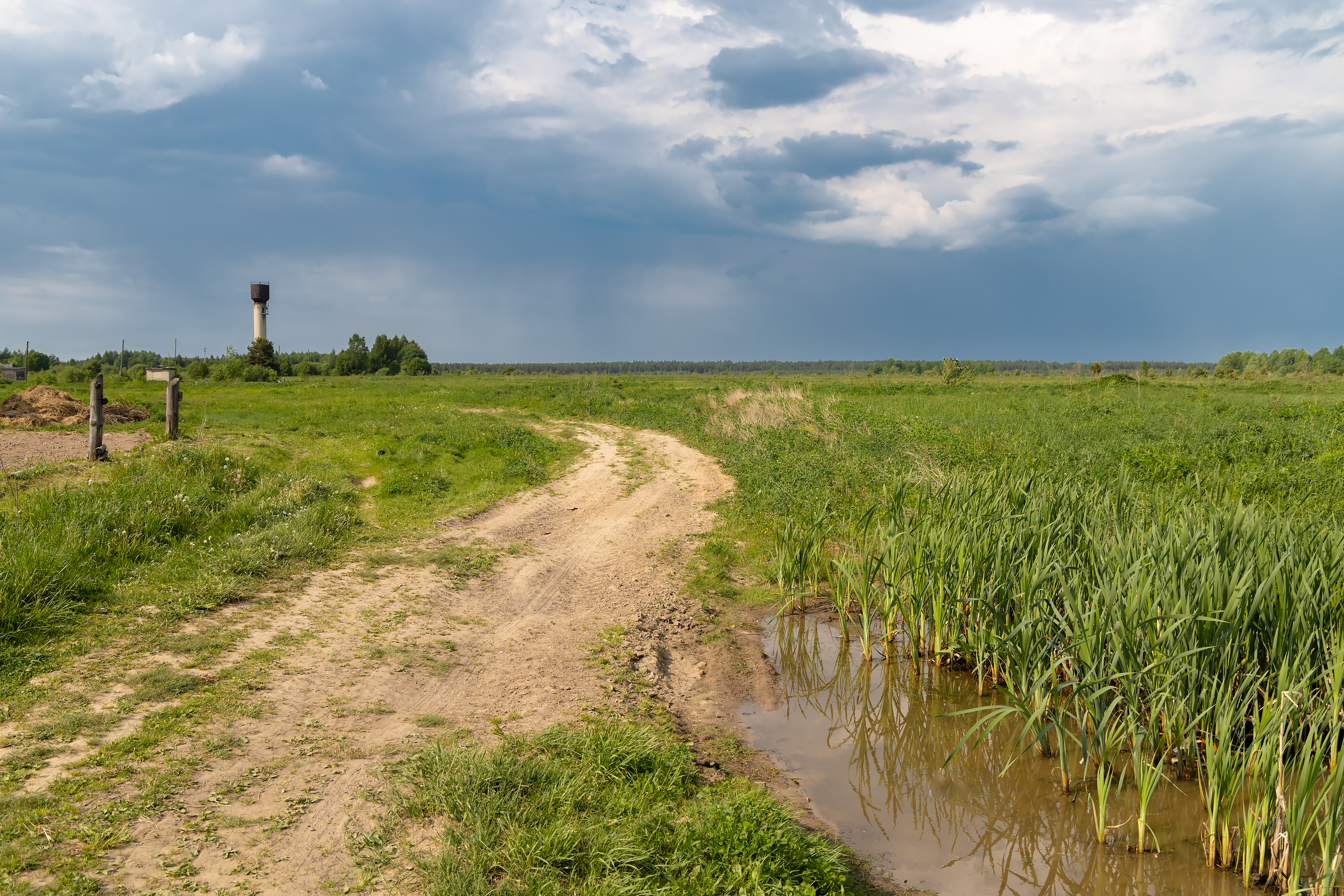 Free photo May landscape with a country lane