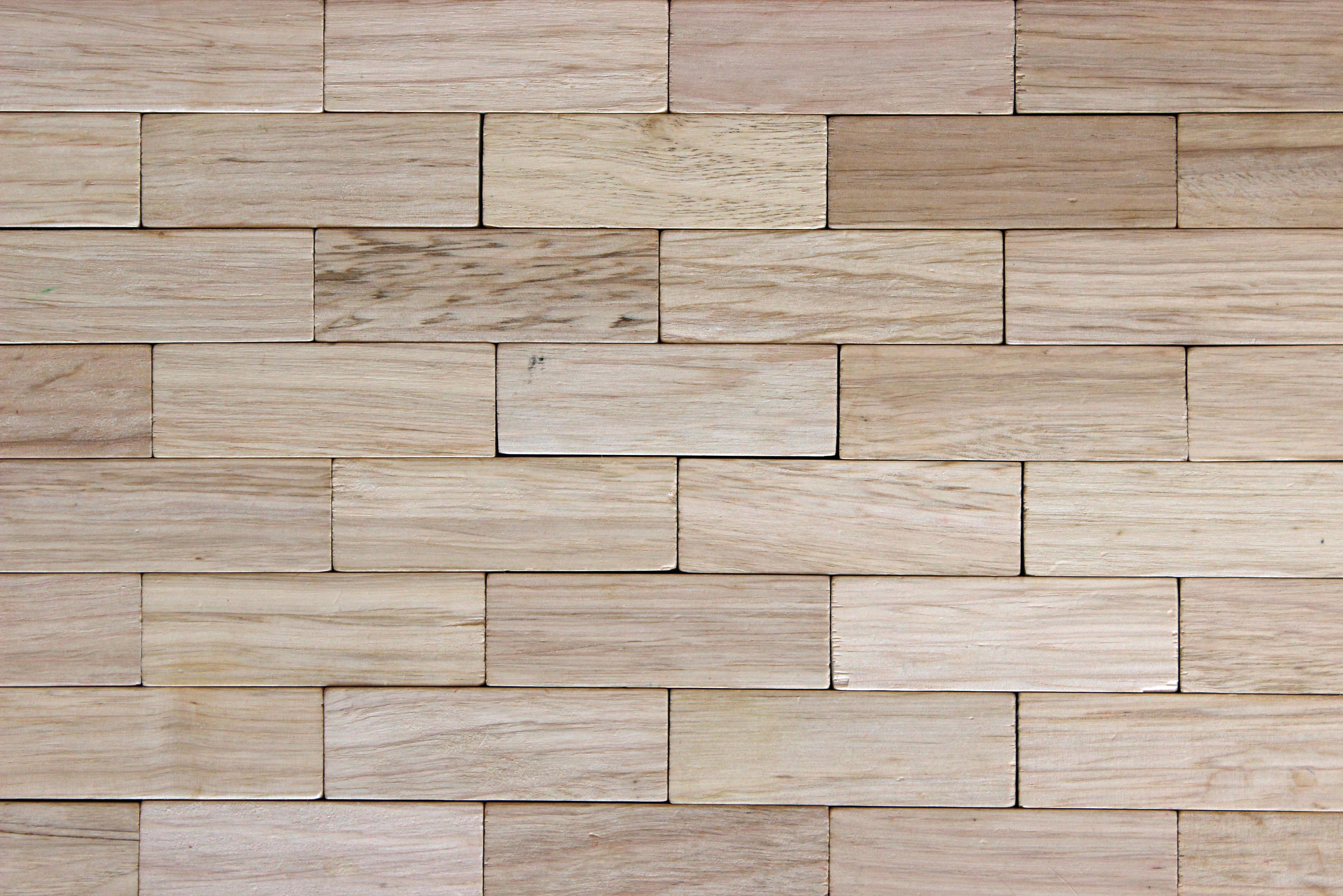 Wallpapers nature wood ground on the desktop