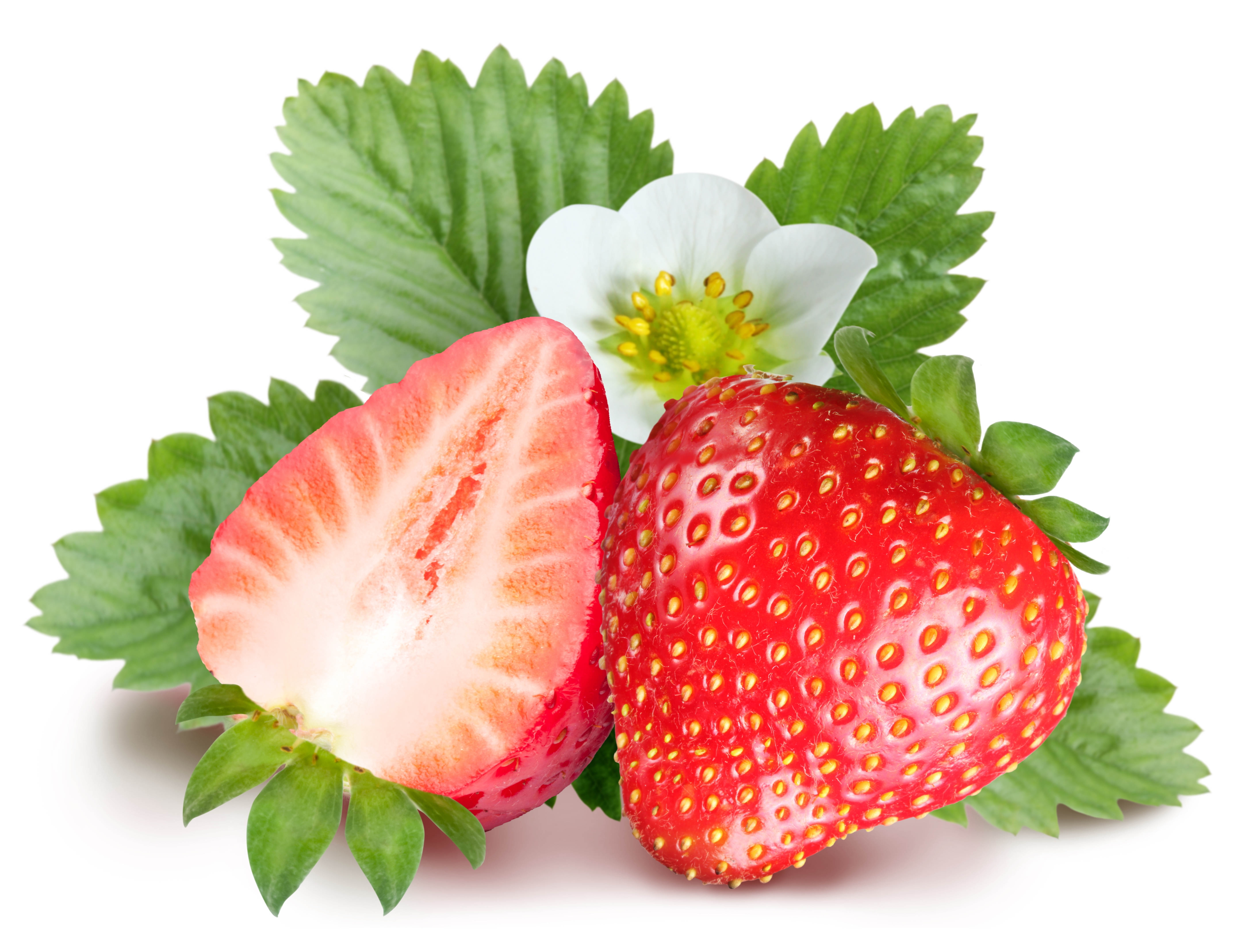 白底草莓