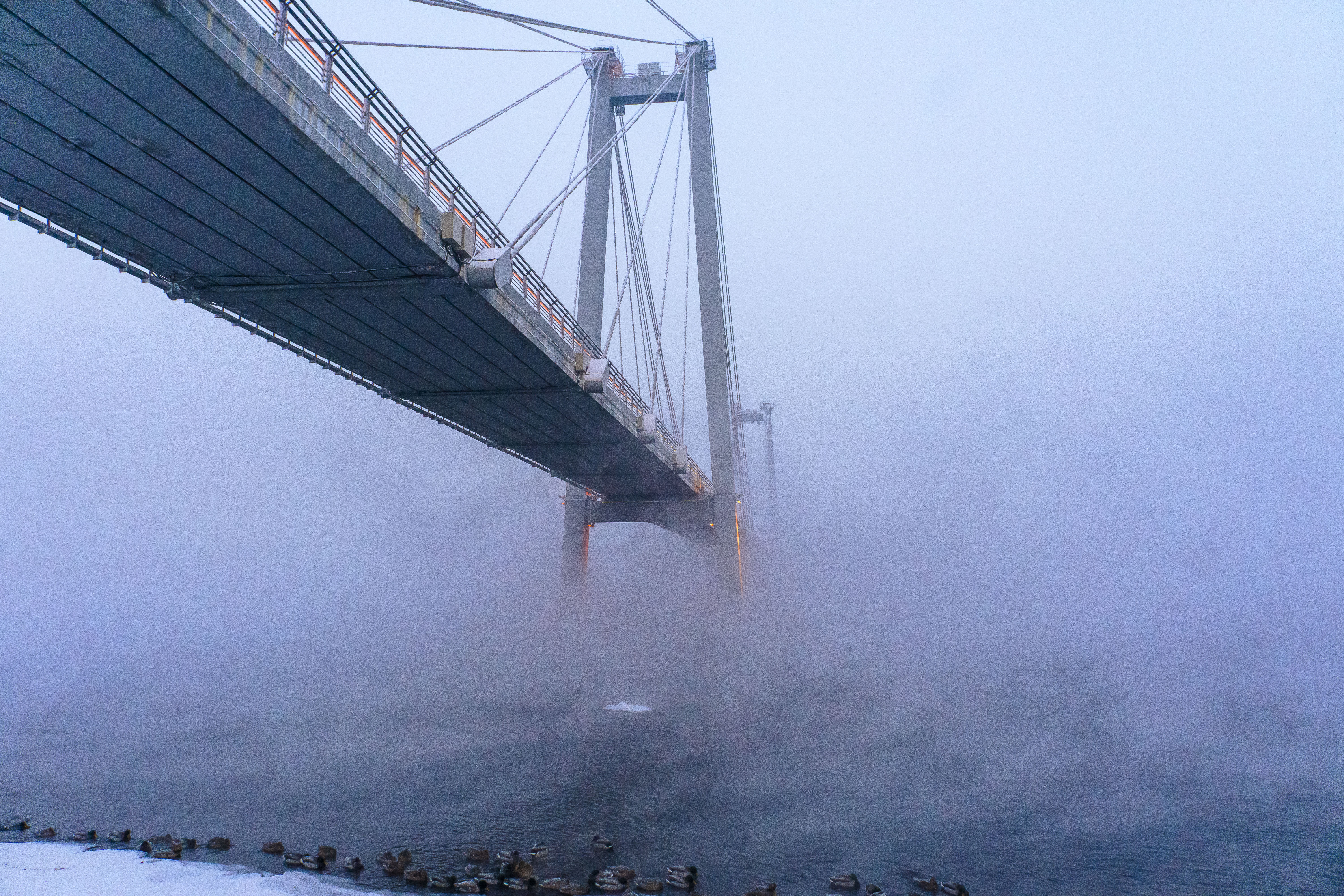 霜雾弥漫的清晨的大桥。