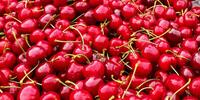 Картинка с разбросанными красными вишнями