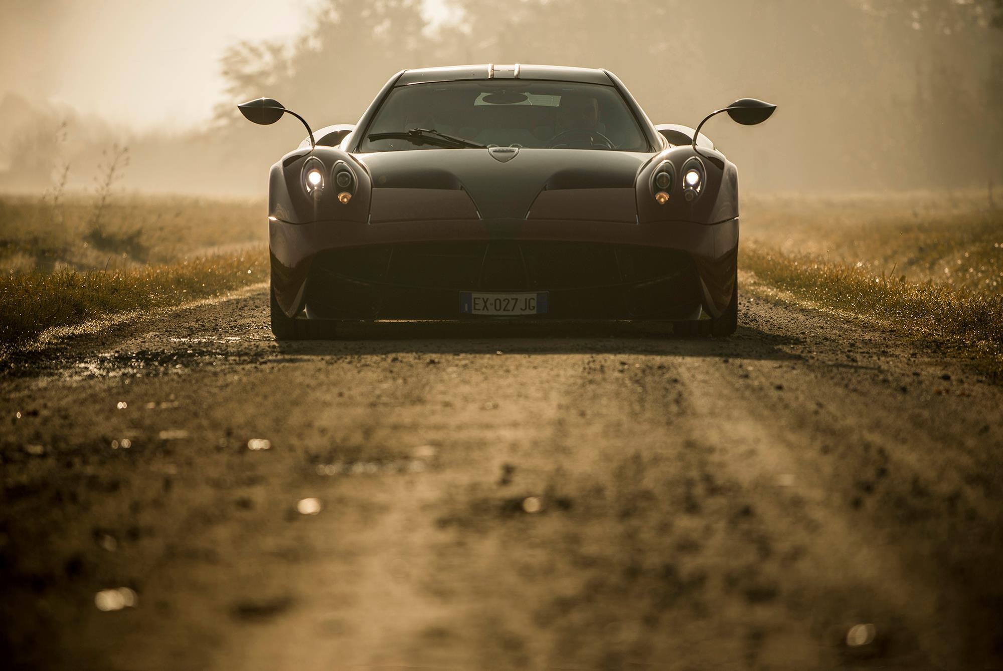 Wallpapers race cars car grass on the desktop