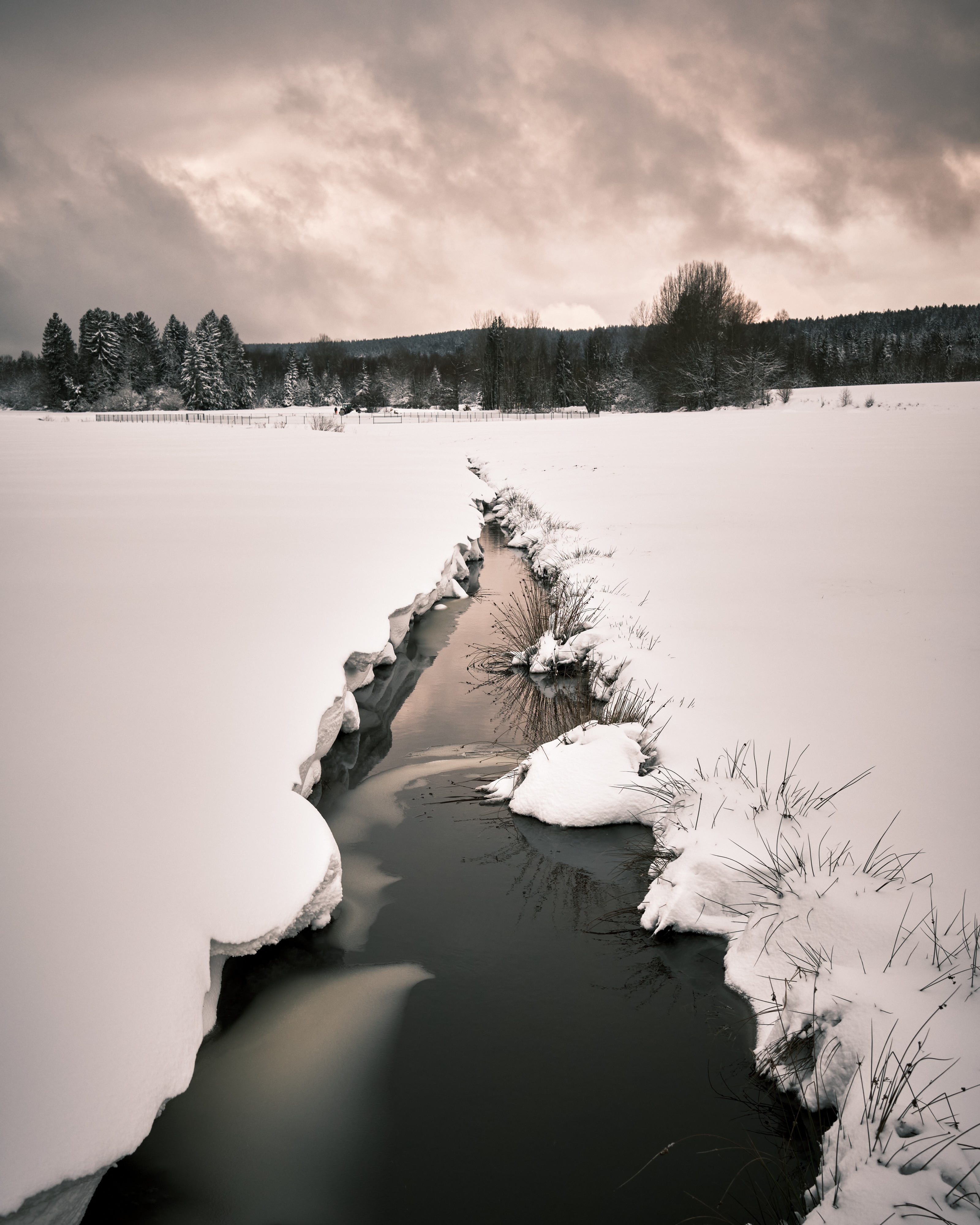 Free photo A thaw in a field of snow